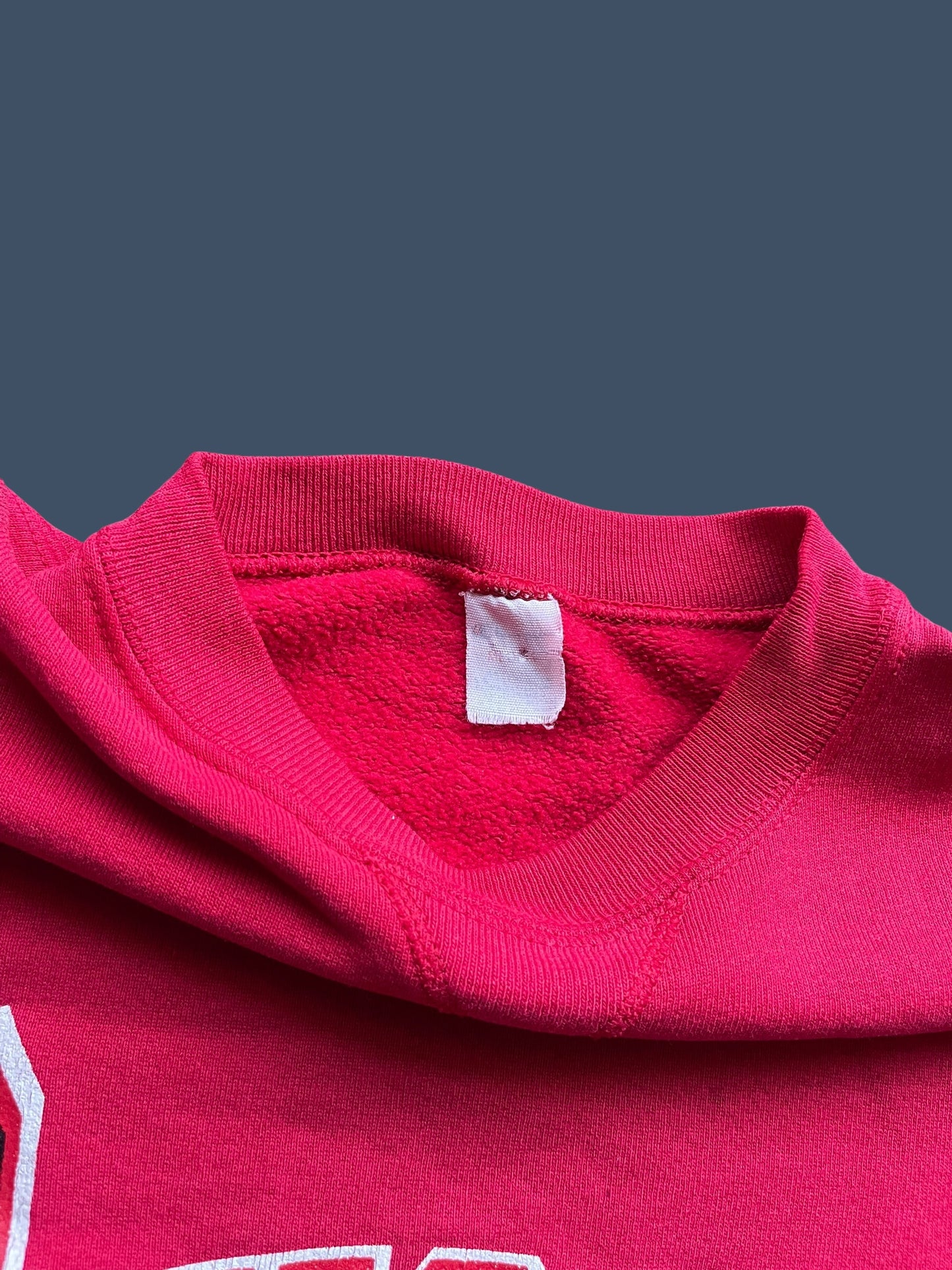 VINTAGE CHAMPION CHICAGO BULLS CREWNECK (M)