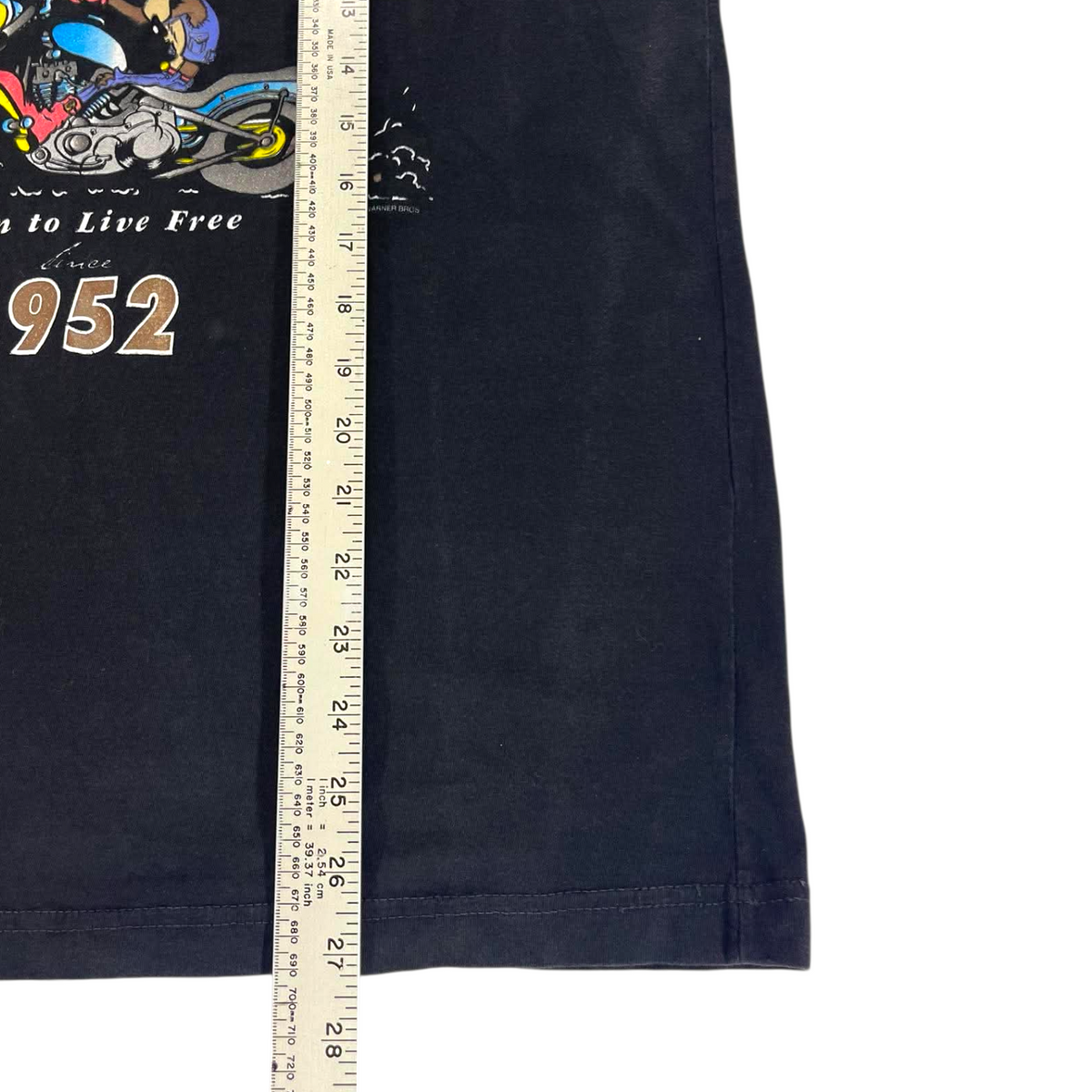 VINTAGE TRAILBLAZER MOTORCYCLE TEE (S - M)