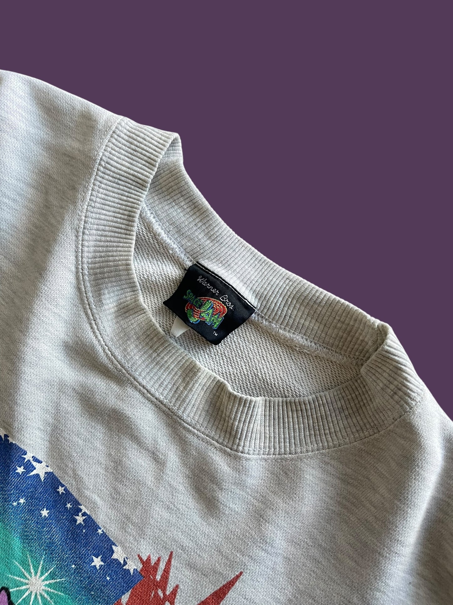 VINTAGE 1996 SPACE JAM CREWNECK (M TO LARGE)