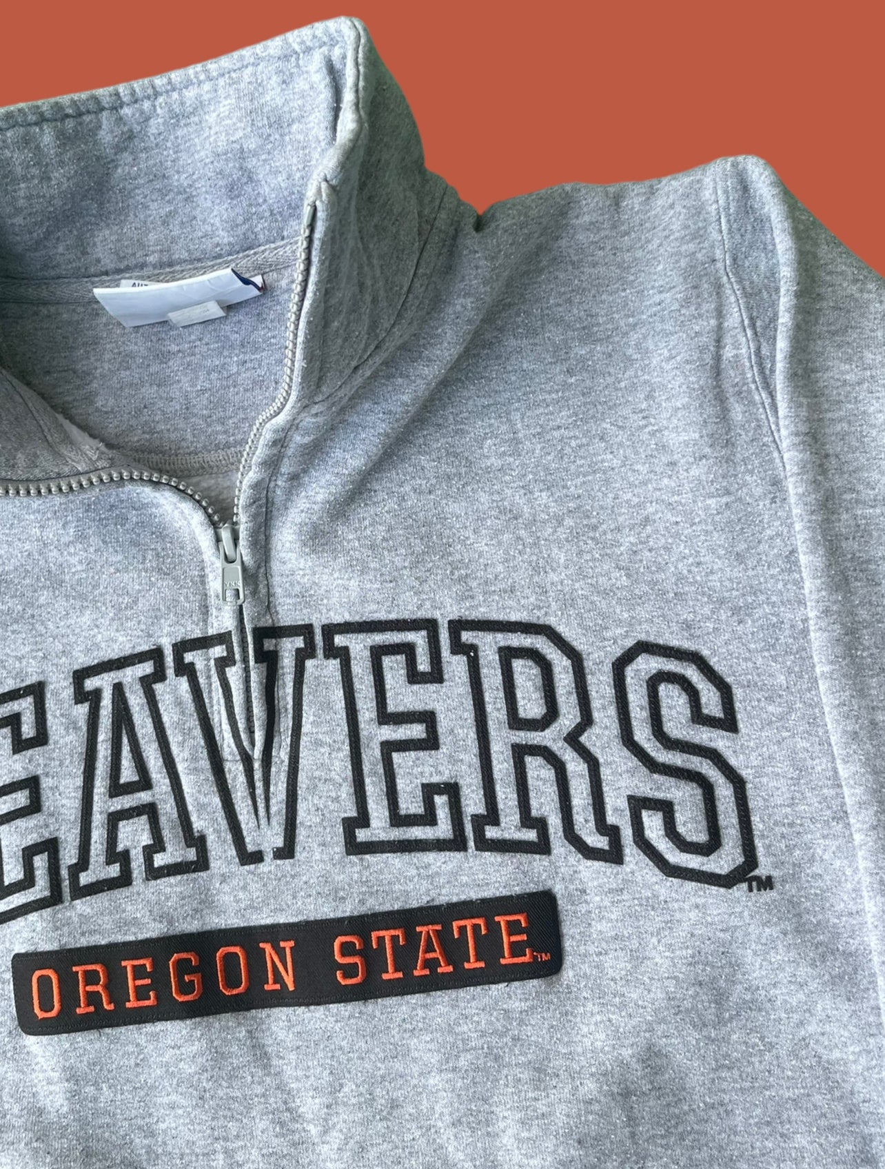 VINTAGE CHAMPION X BEAVERS QUARTERZIP (S)