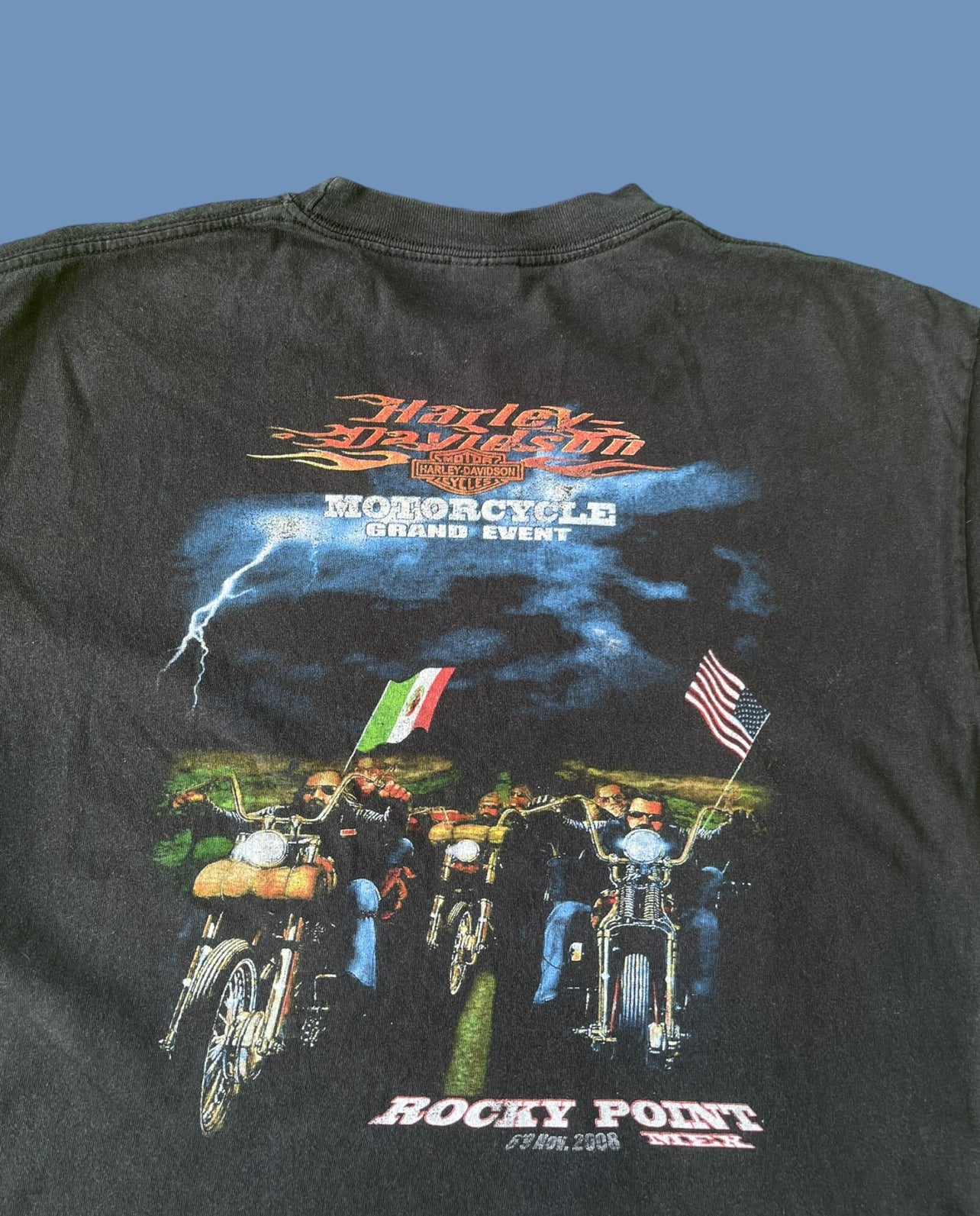 VINTAGE HARLEY DAVIDSON SHIRT (L)