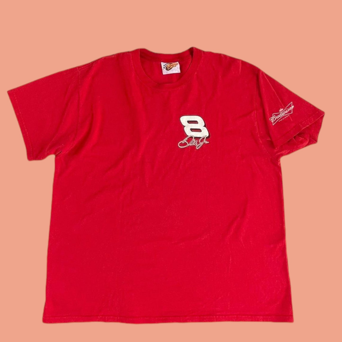 VINTAGE DALE JR SHIRT (L)