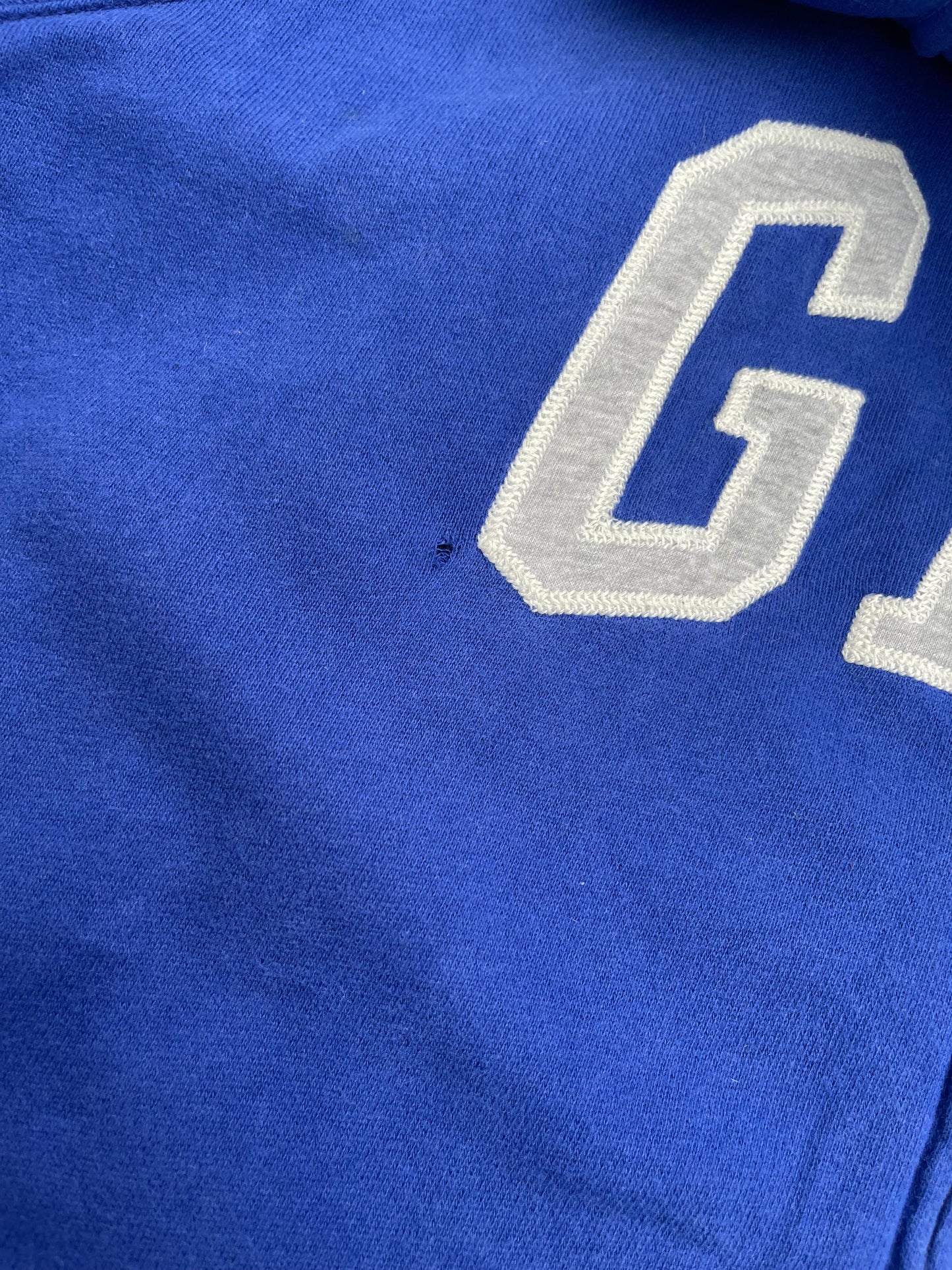 CLASSIC GAP HOODIE (L)