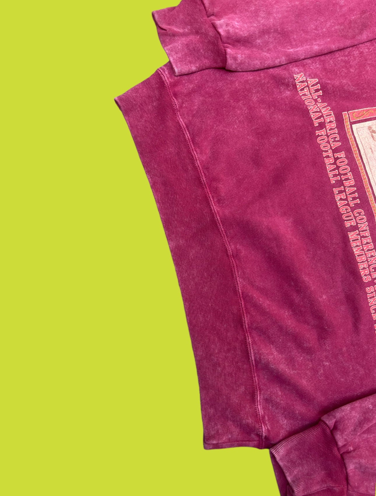 VINTAGE SF 49ERS CREWNECK (L)