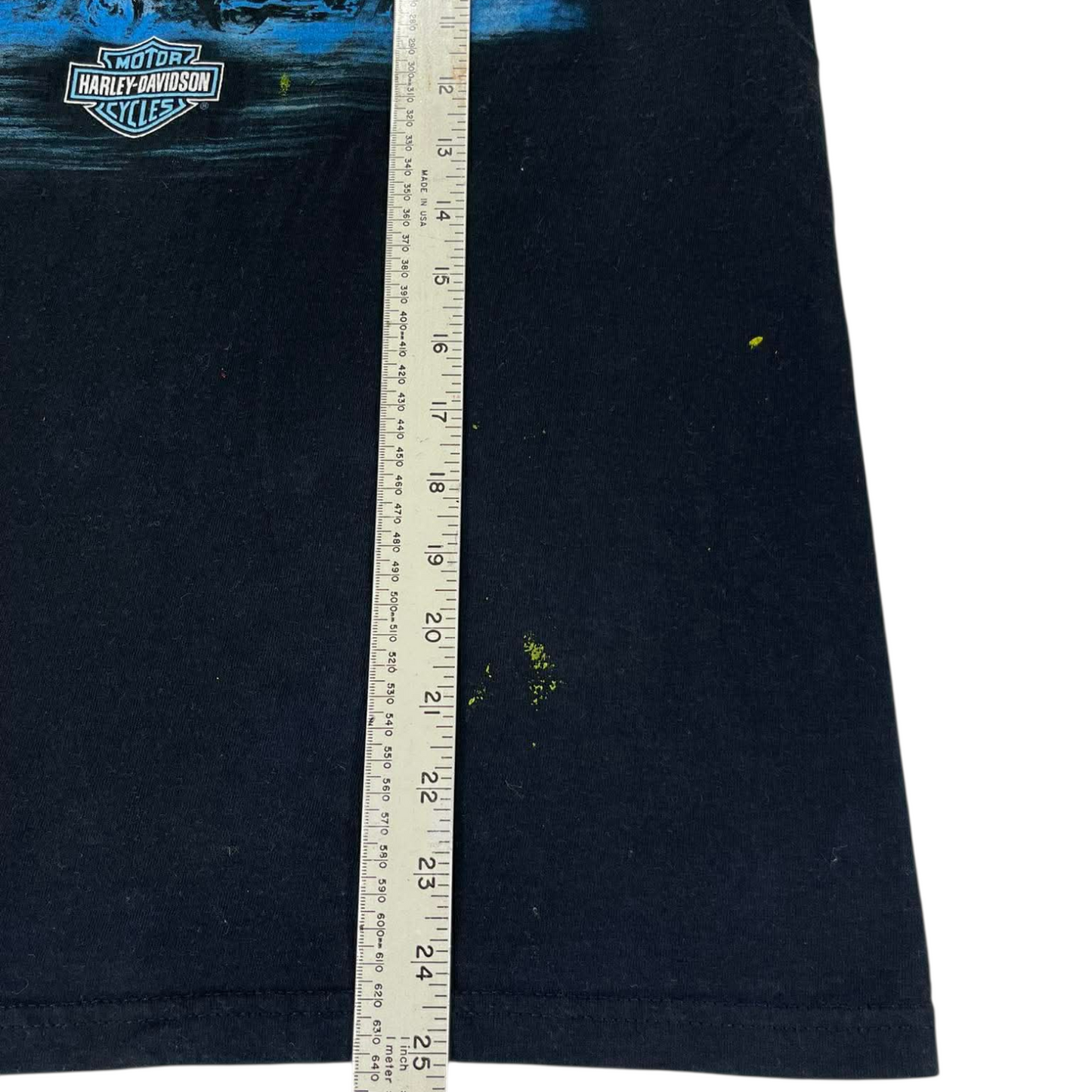HARLEY DAVIDSON BLACK GRAPHIC TEE WITH BLUE ACCENTS (S-M)
