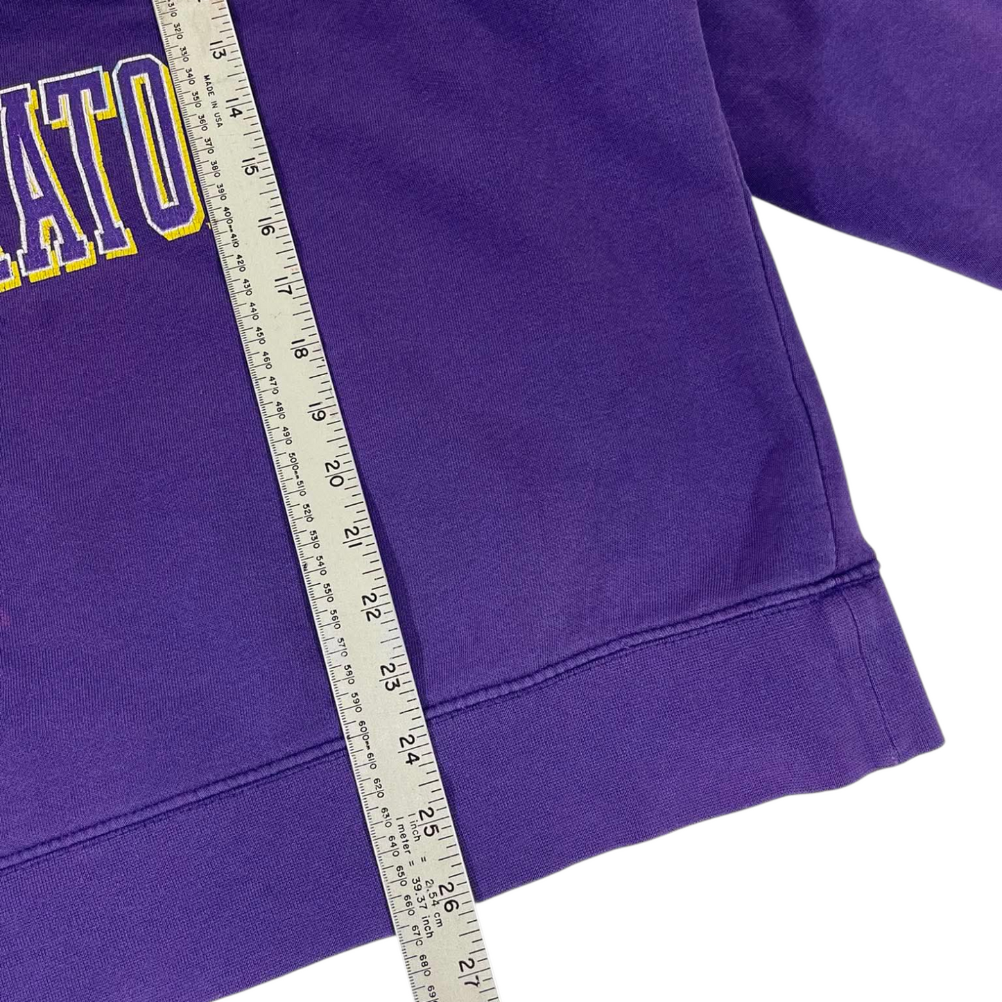VINTAGE MINNESOTA STATE UNIVERSITY PURPLE CREWNECK (M-L)