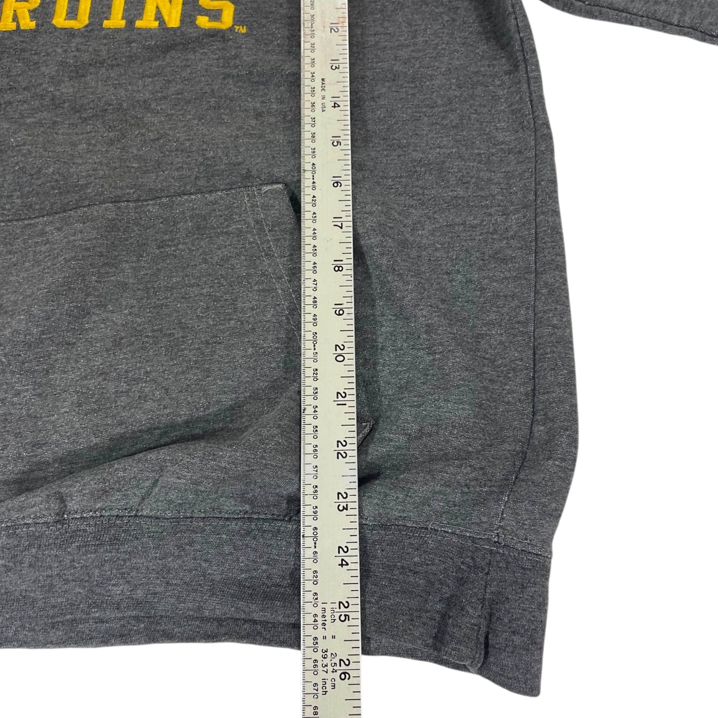 Y2K UCLA BRUINS GRAY HOODIE (M)