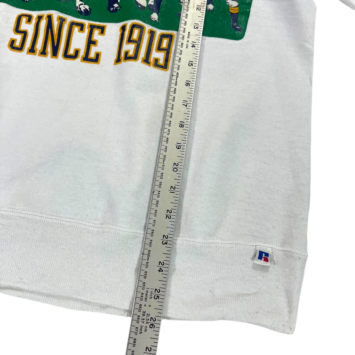 VINTAGE RUSSELL ATHLETIC CREWNECK (M)