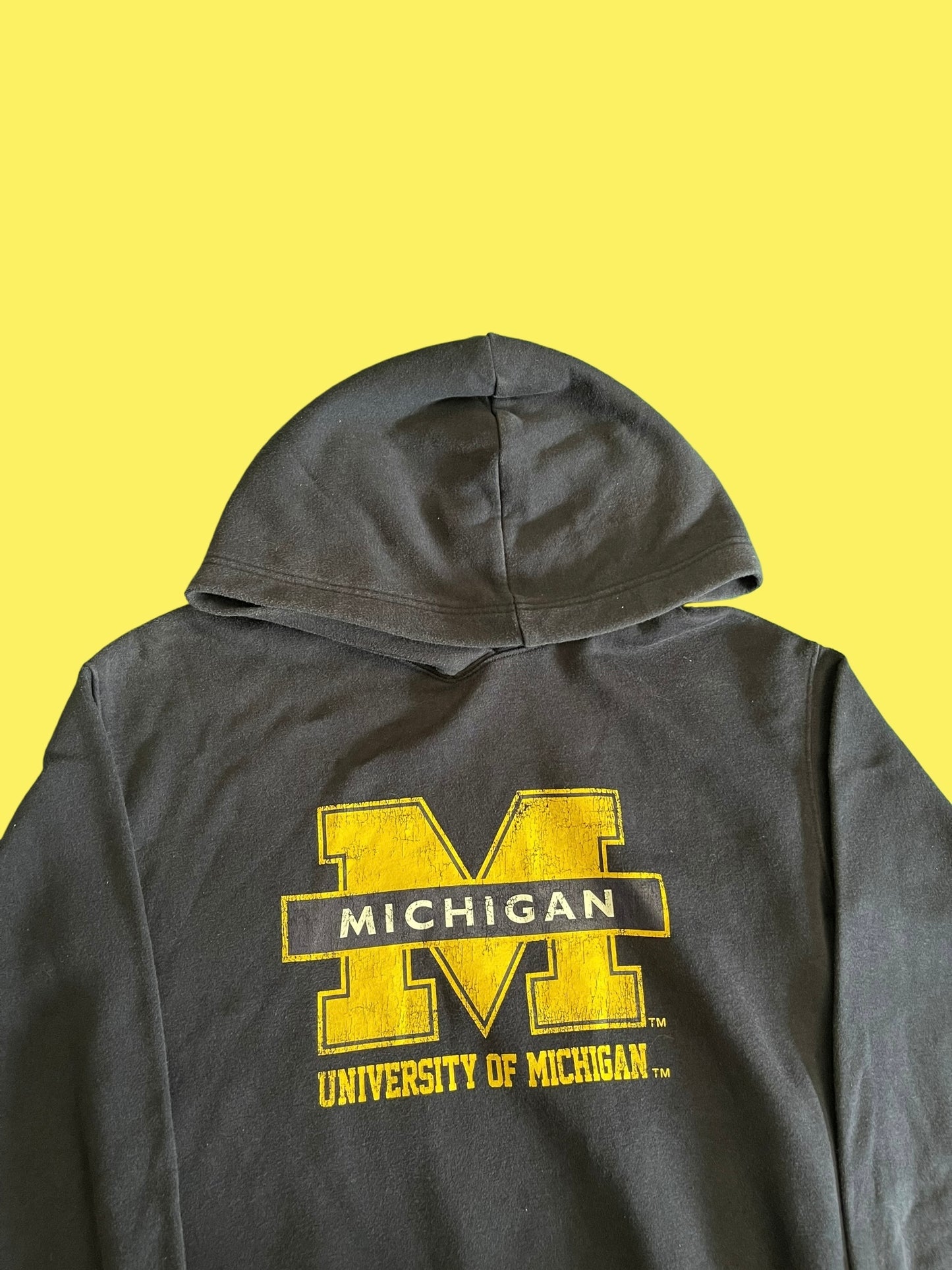 VINTAGE MICHIGAN HOODIE (S)
