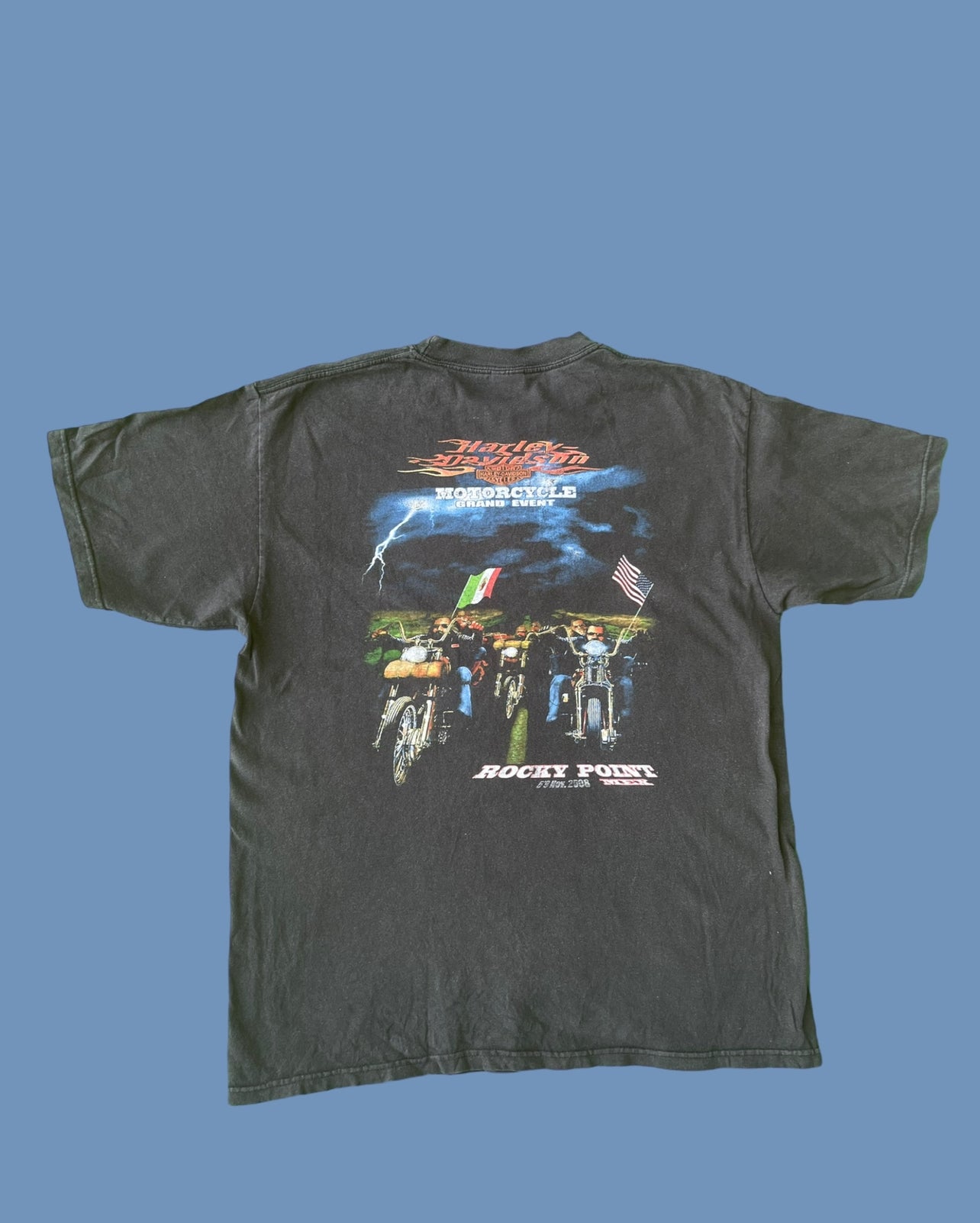 VINTAGE HARLEY DAVIDSON SHIRT (L)