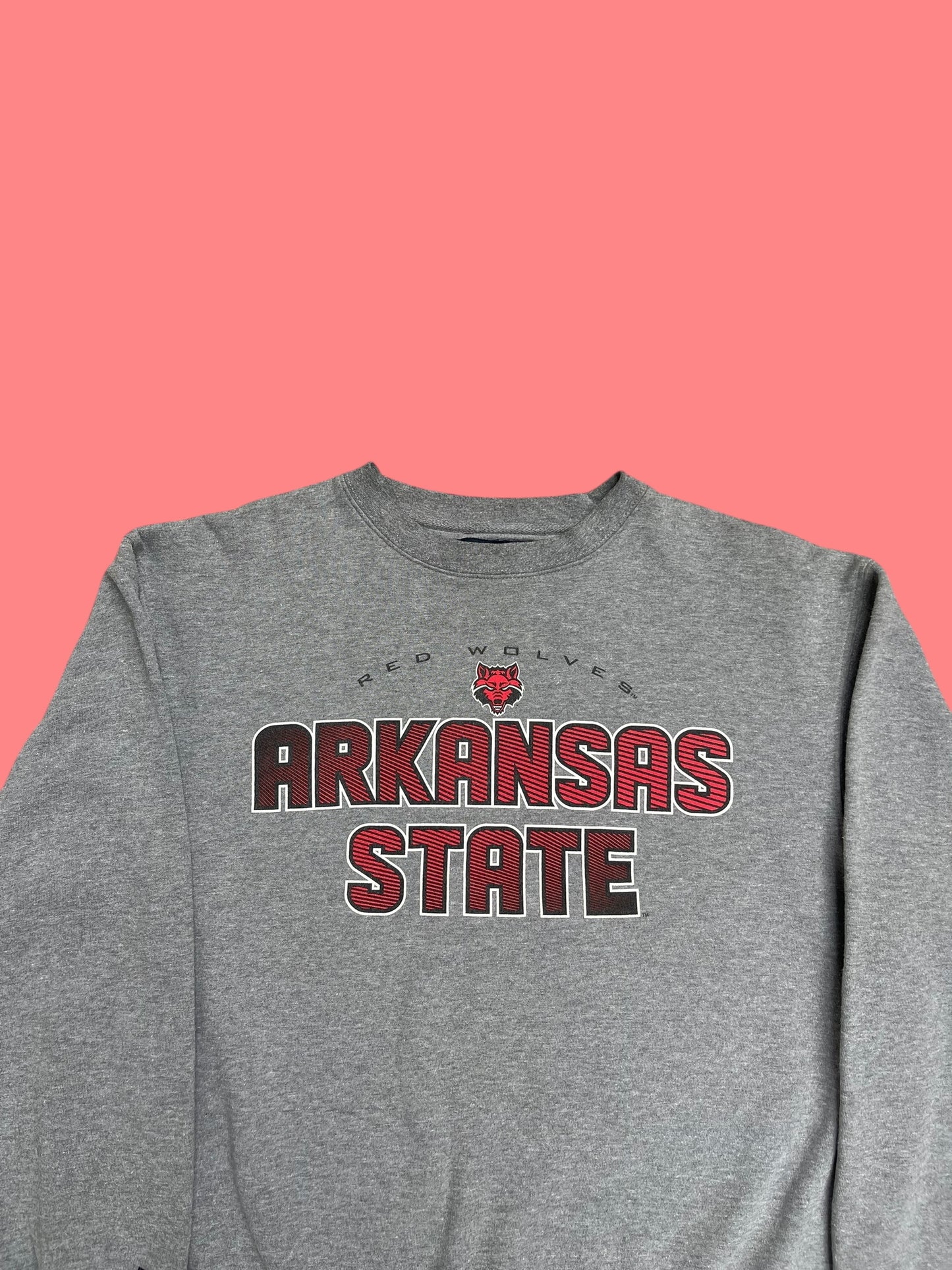 VINTAGE JANSPORT ARKANSAS CREWNECK (M)