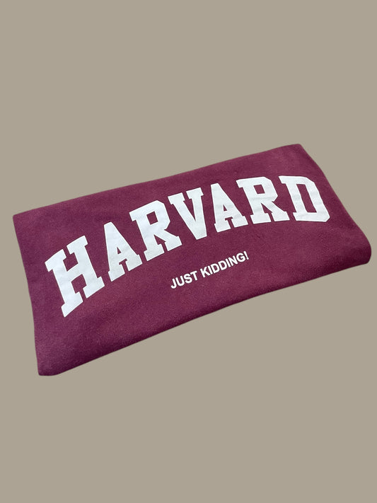 HARVARD SHIRT (L)