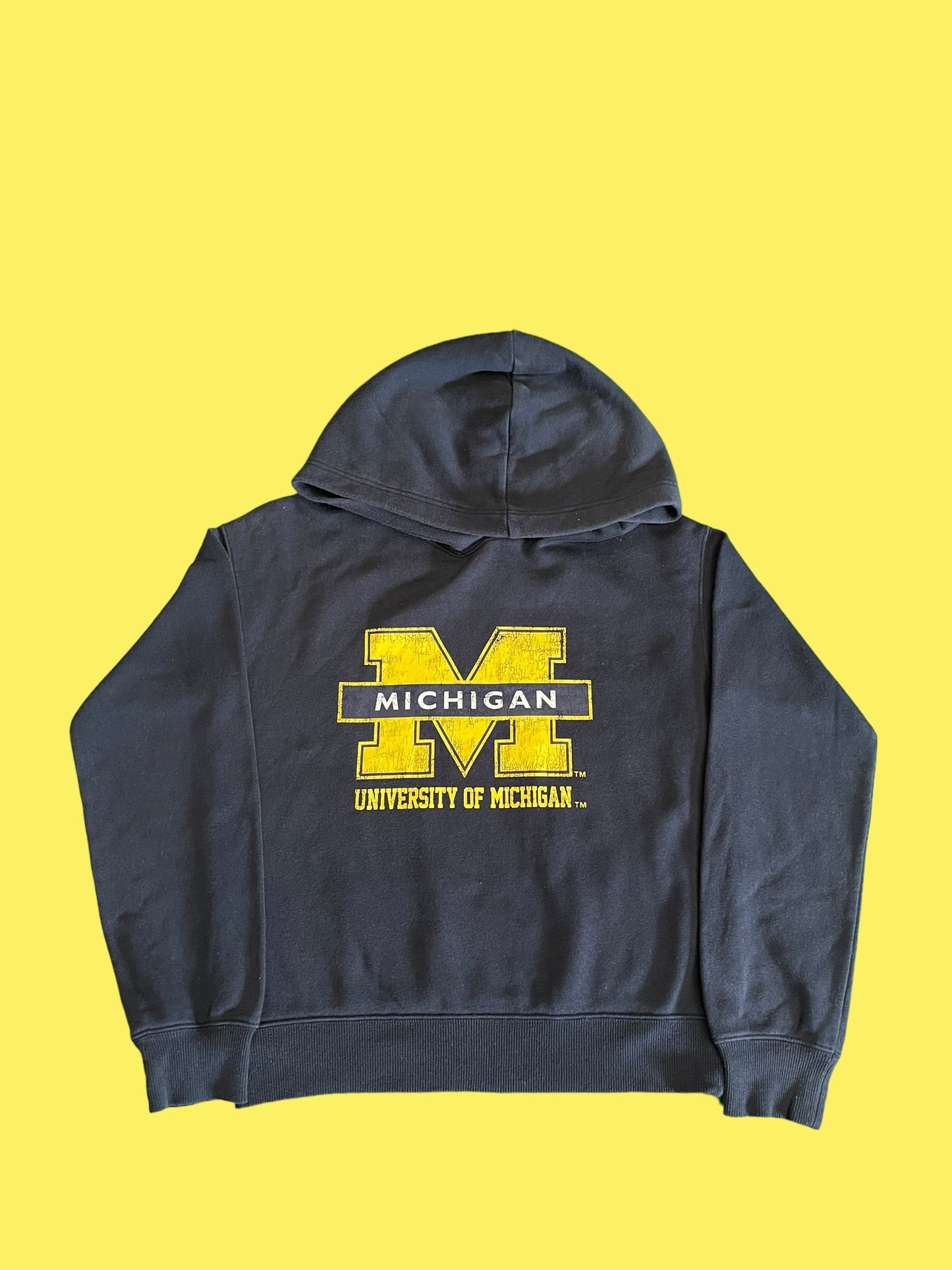 VINTAGE MICHIGAN HOODIE (S)