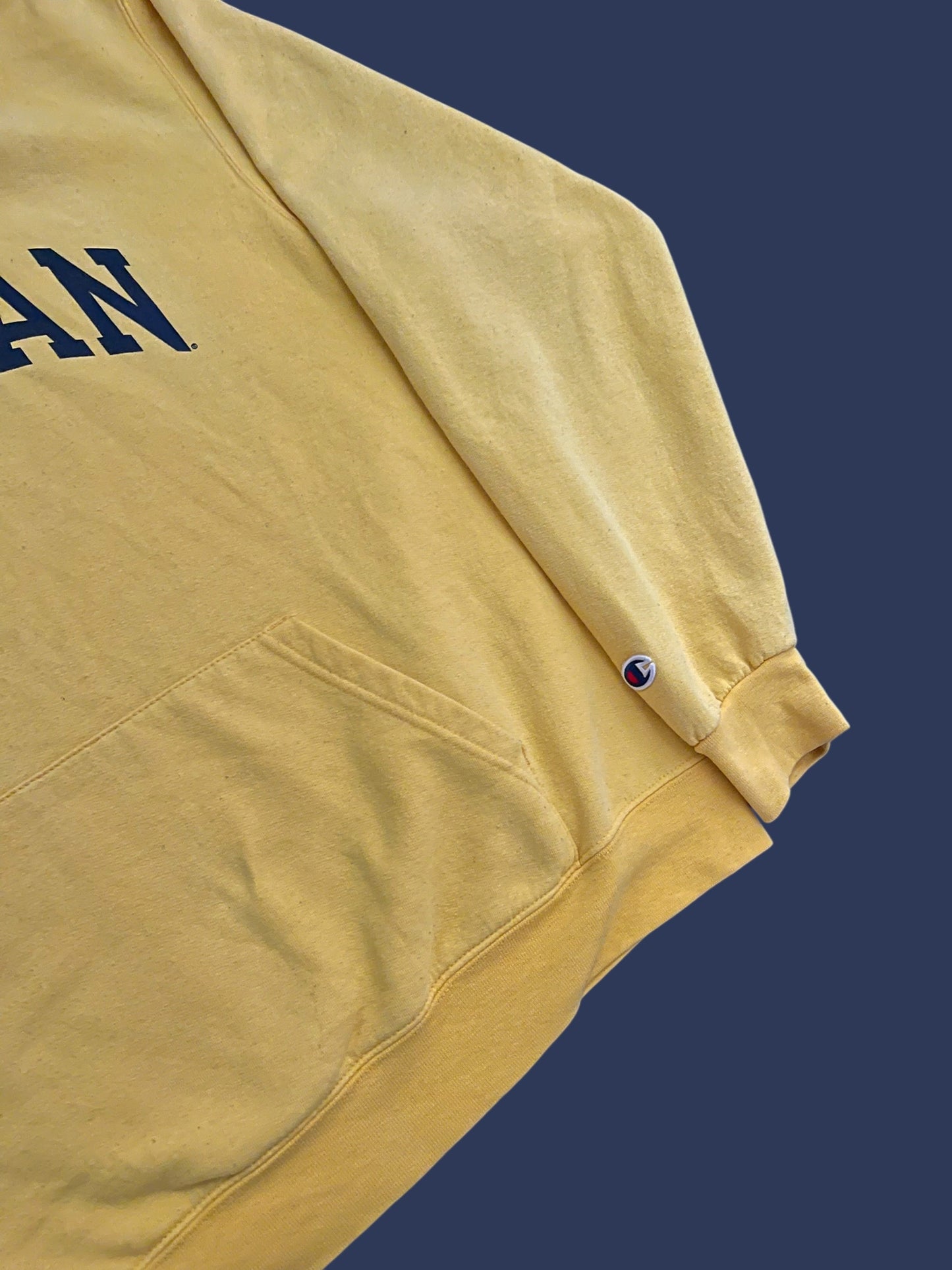 MICHIGAN CHAMPION HOODIE (L)