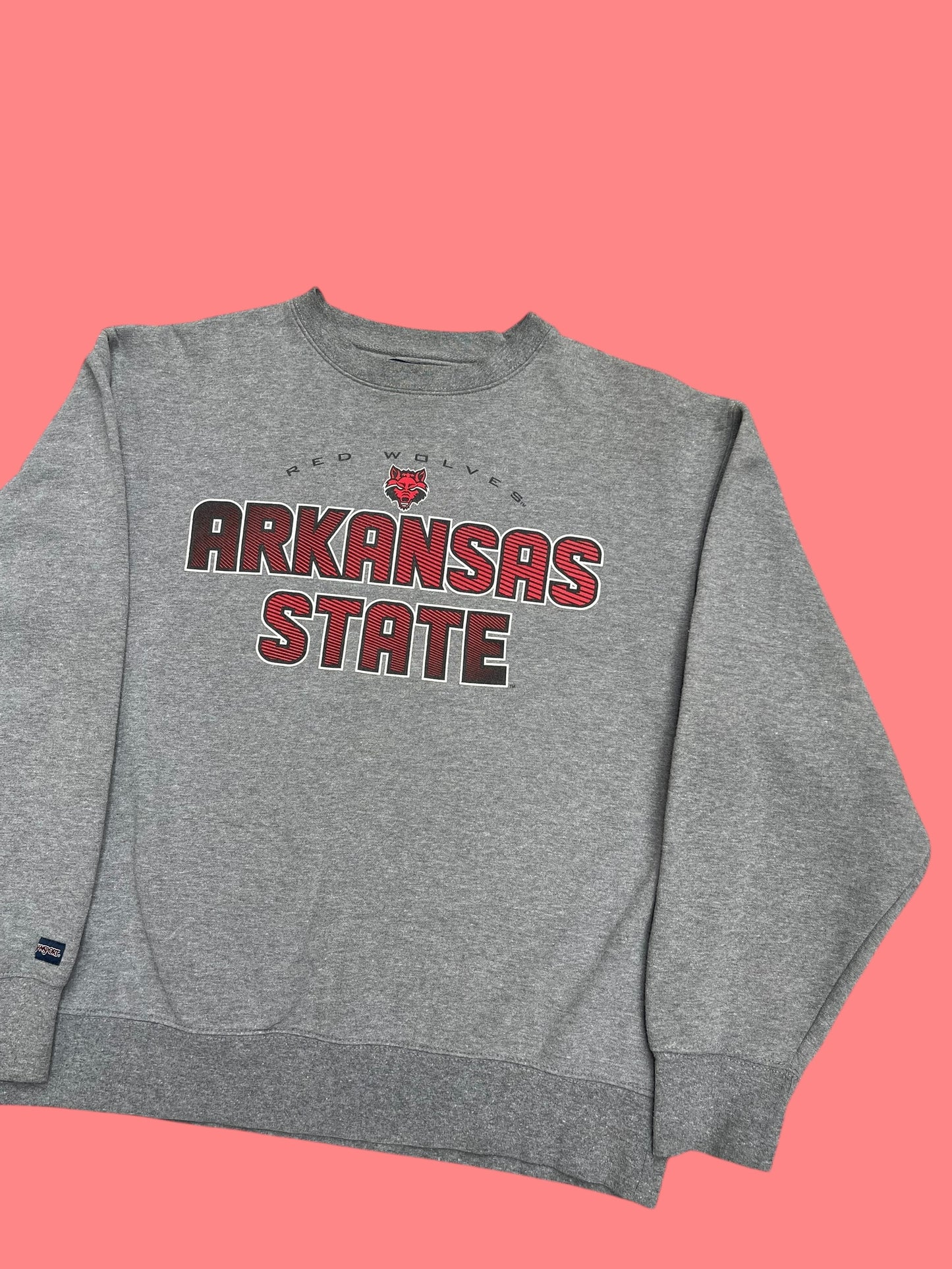 VINTAGE JANSPORT ARKANSAS CREWNECK (M)