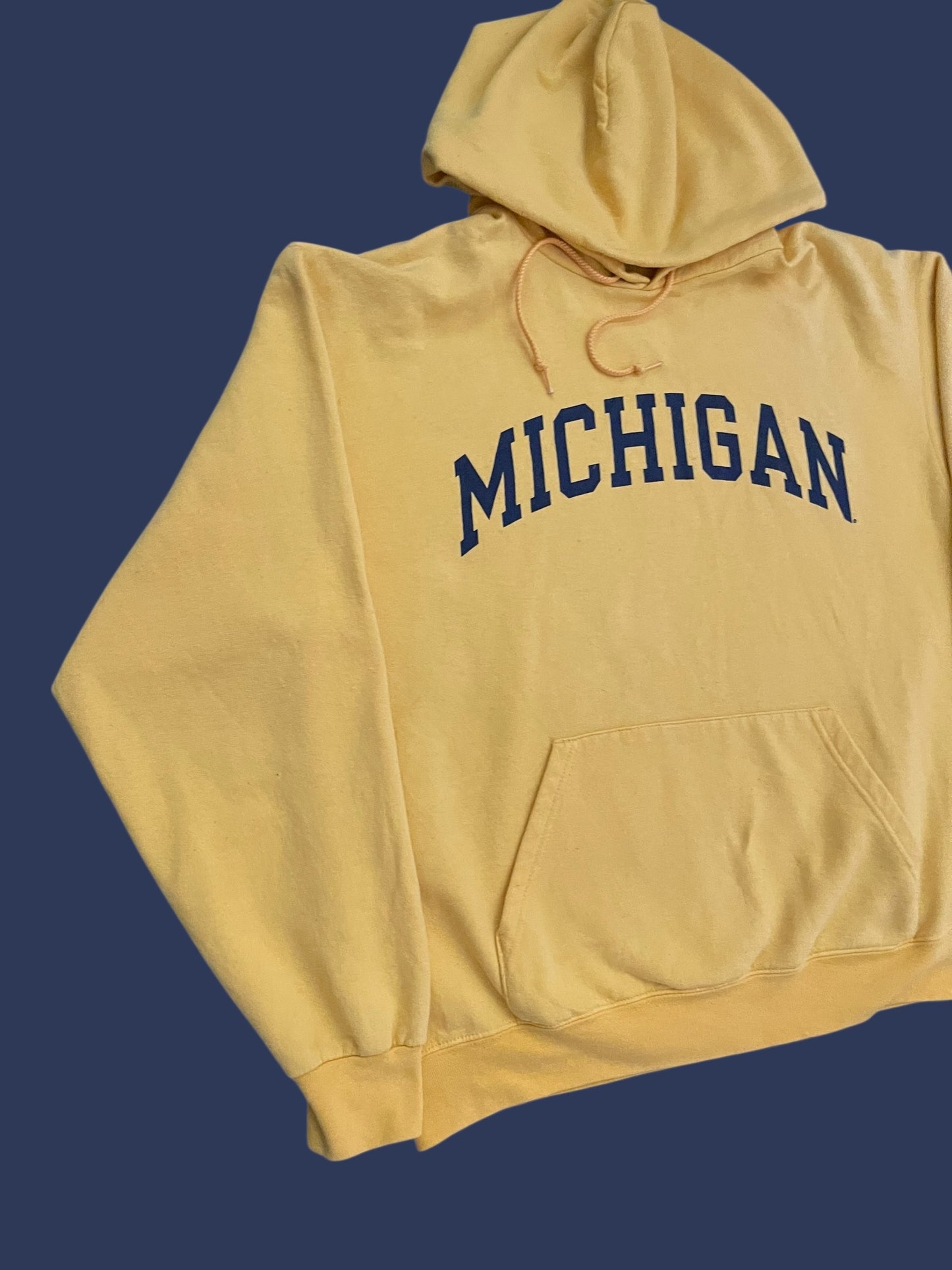 MICHIGAN CHAMPION HOODIE (L)