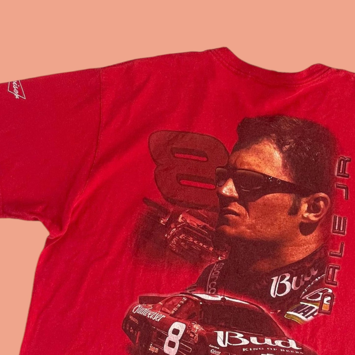 VINTAGE DALE JR SHIRT (L)