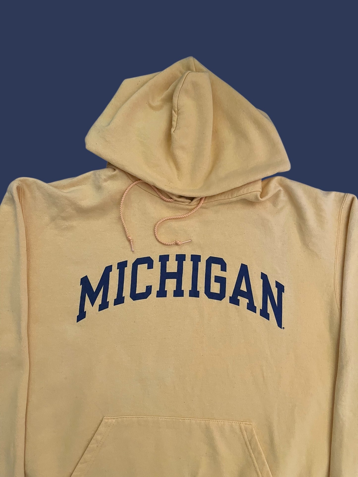 MICHIGAN CHAMPION HOODIE (L)