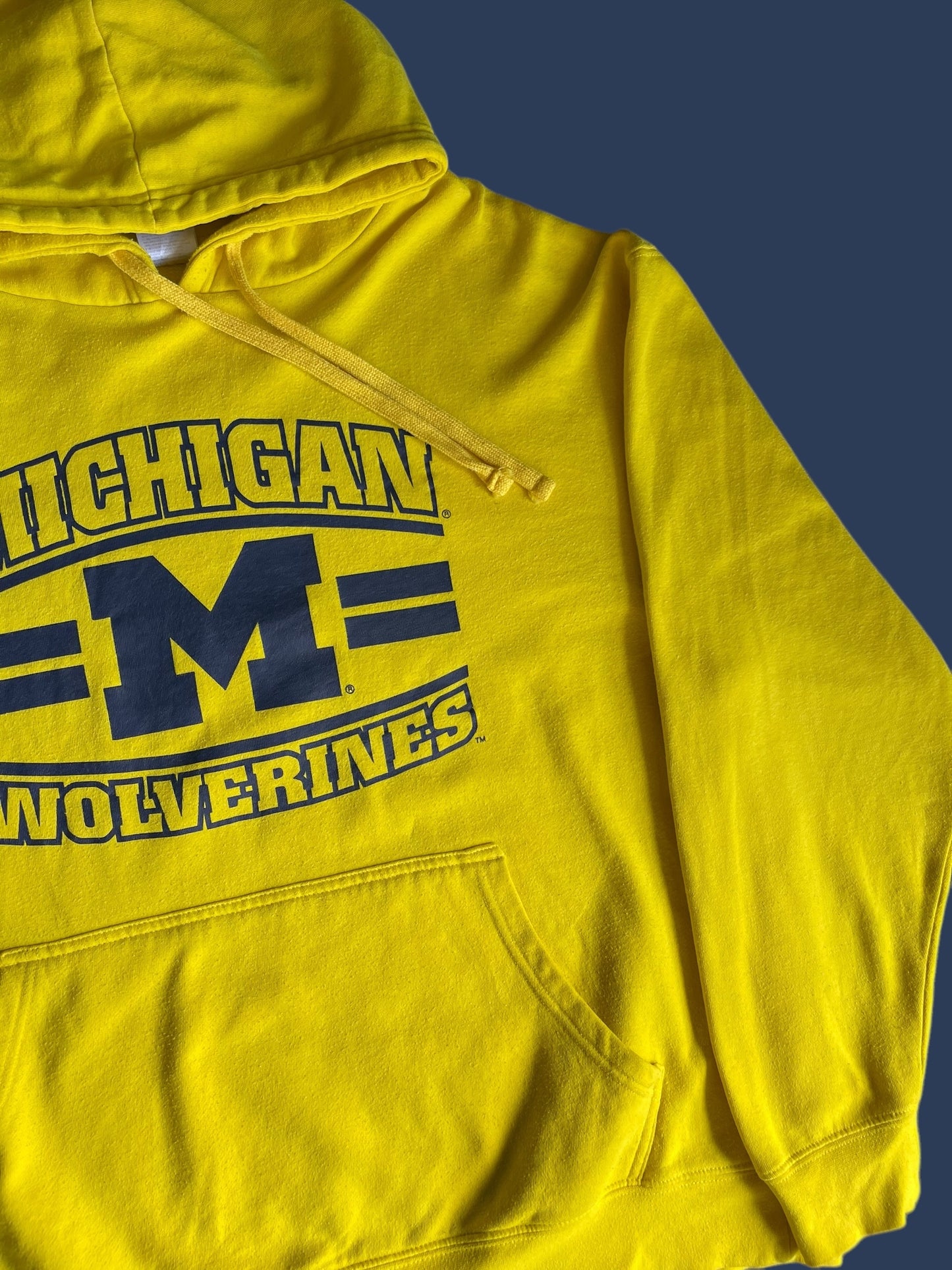 MICHIGAN HOODIE (L)