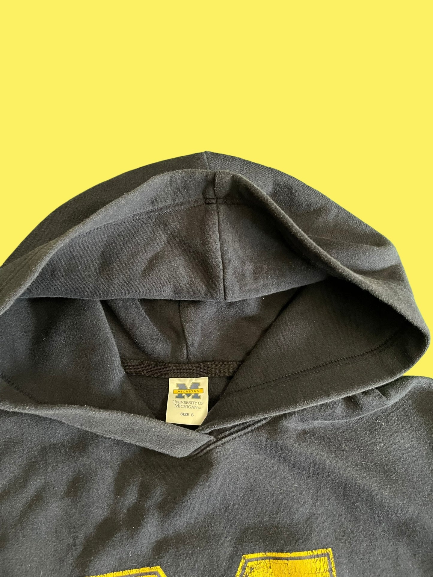 VINTAGE MICHIGAN HOODIE (S)