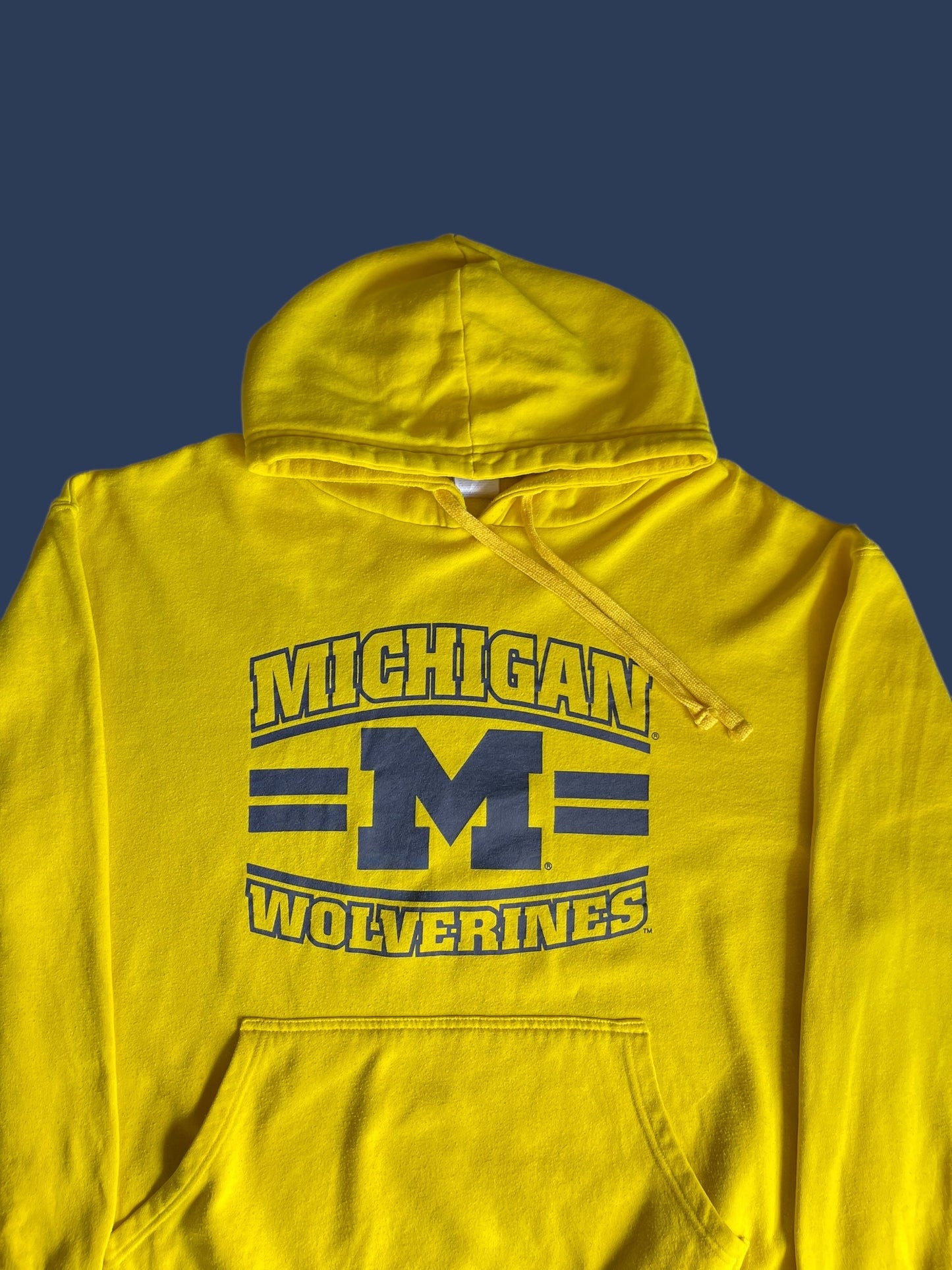 MICHIGAN HOODIE (L)