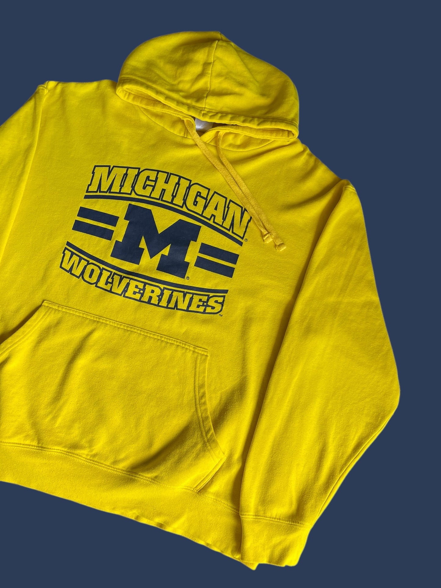 MICHIGAN HOODIE (L)