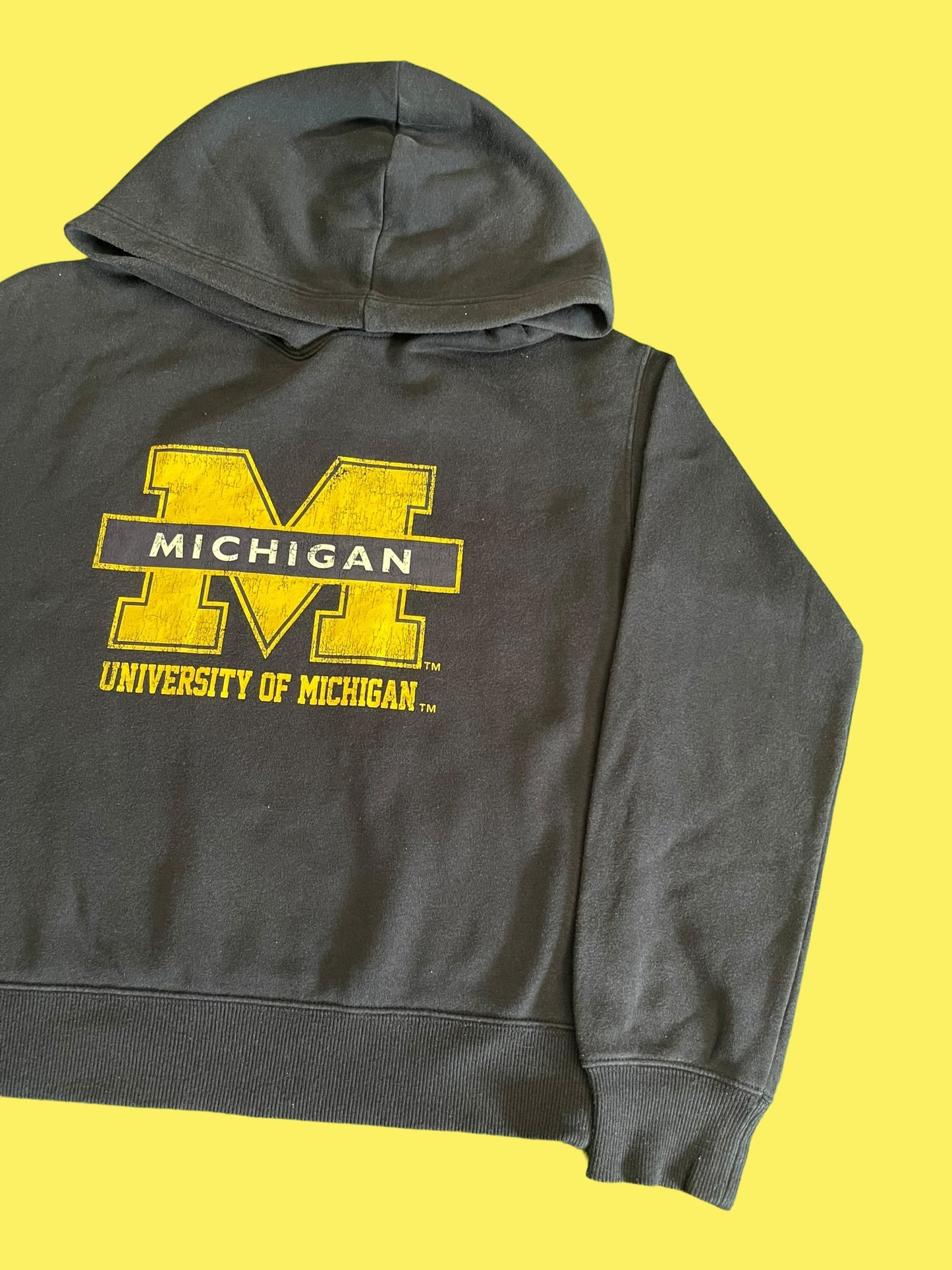 VINTAGE MICHIGAN HOODIE (S)