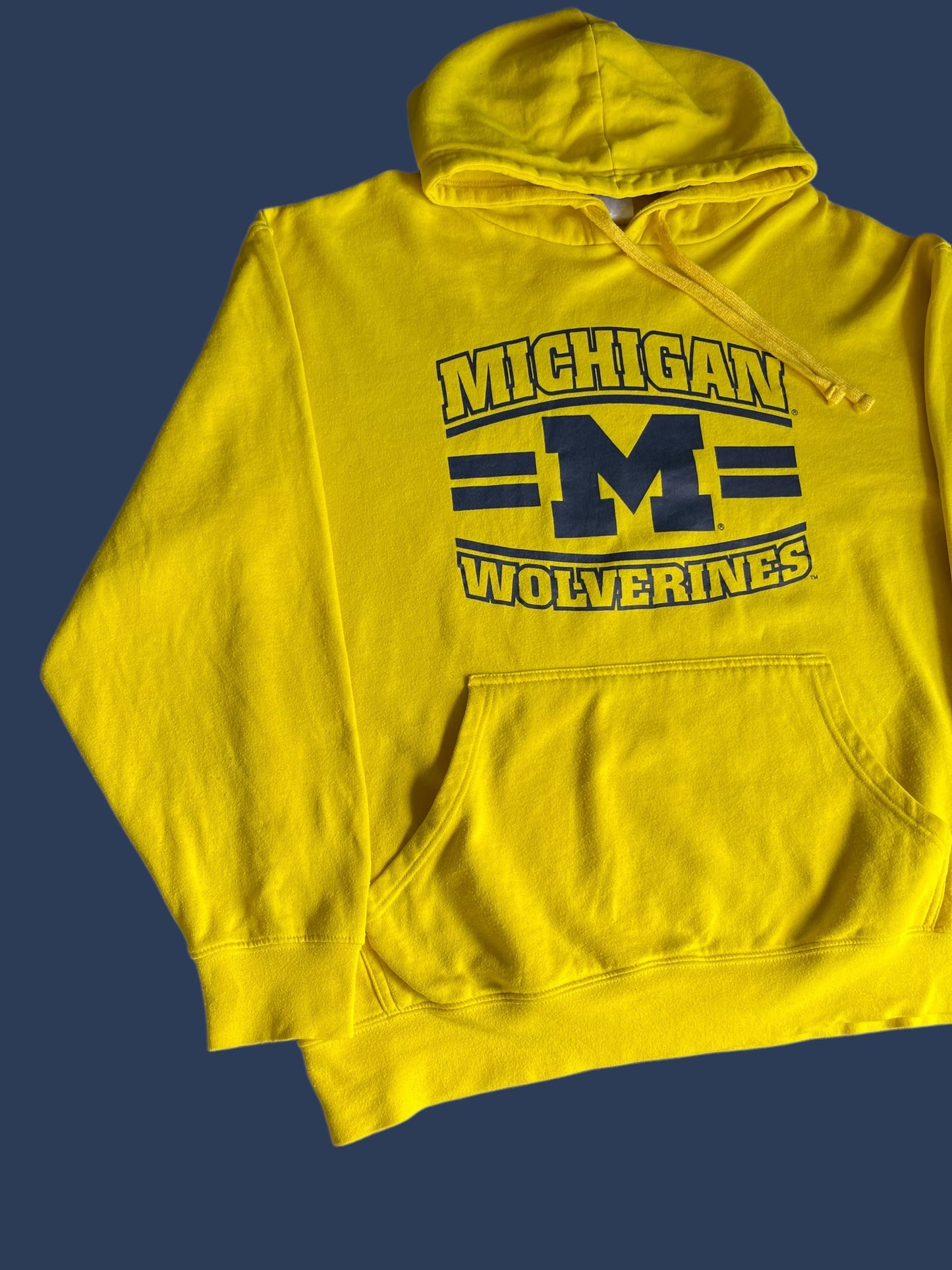 MICHIGAN HOODIE (L)