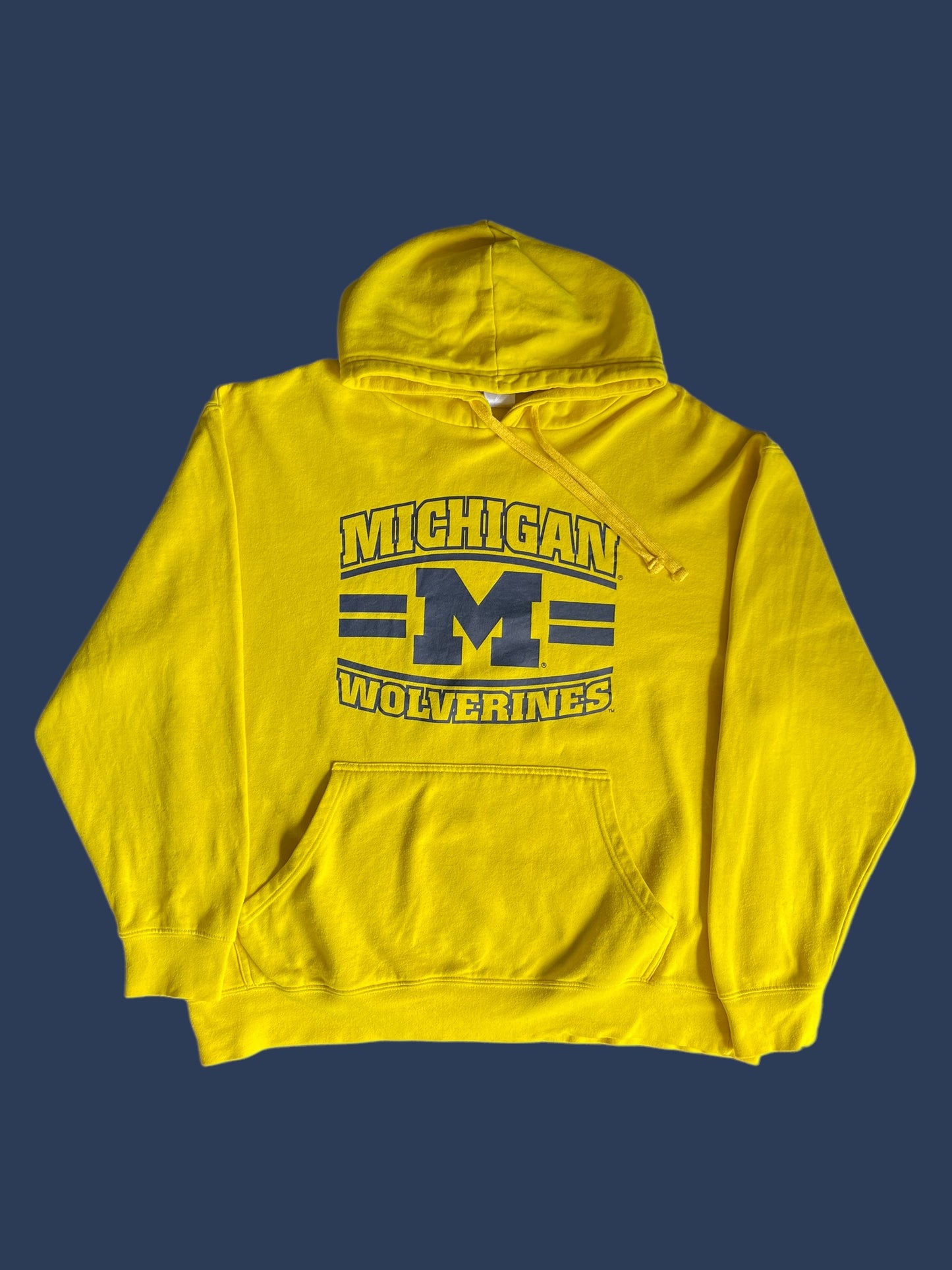 MICHIGAN HOODIE (L)