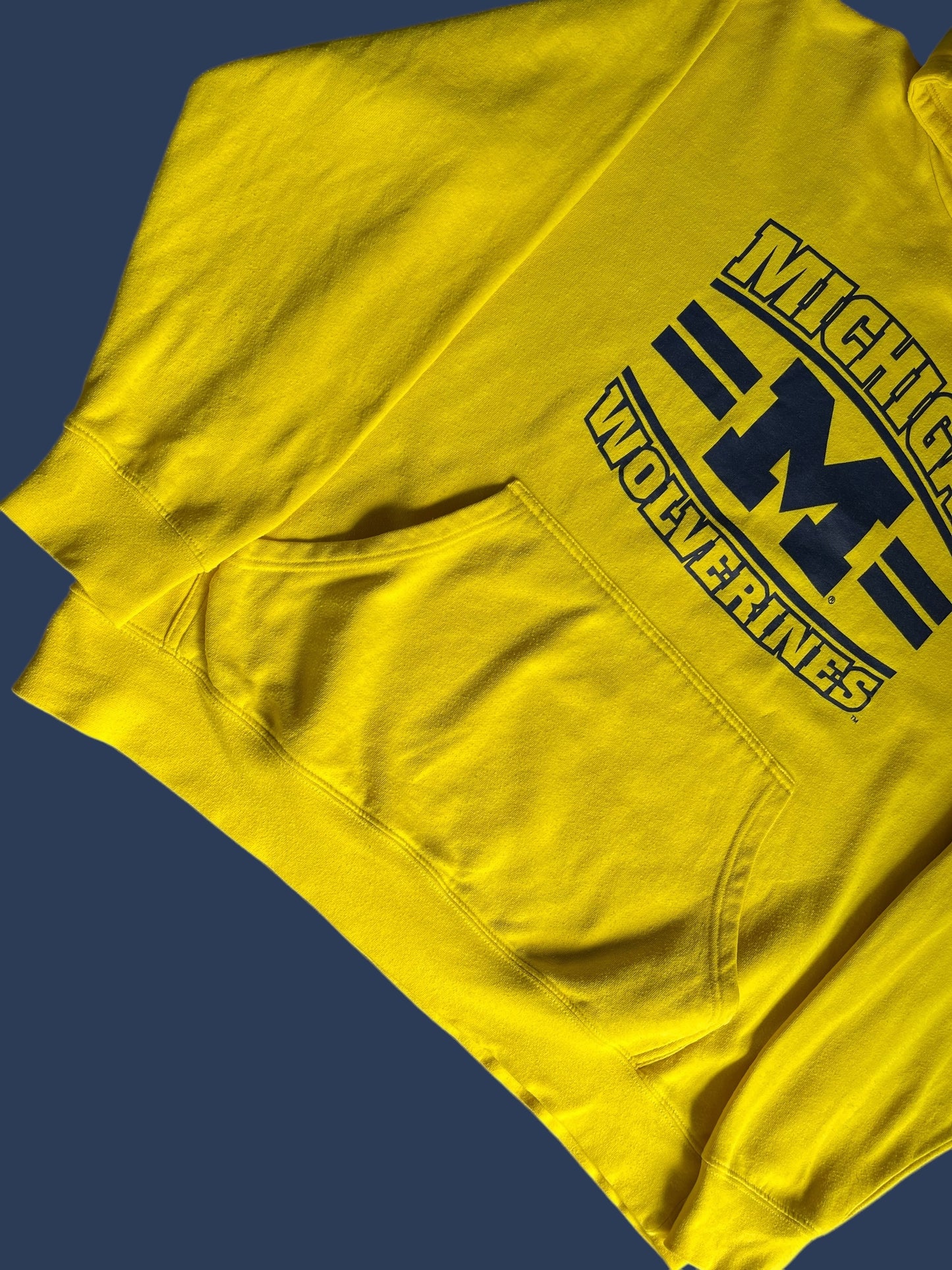MICHIGAN HOODIE (L)