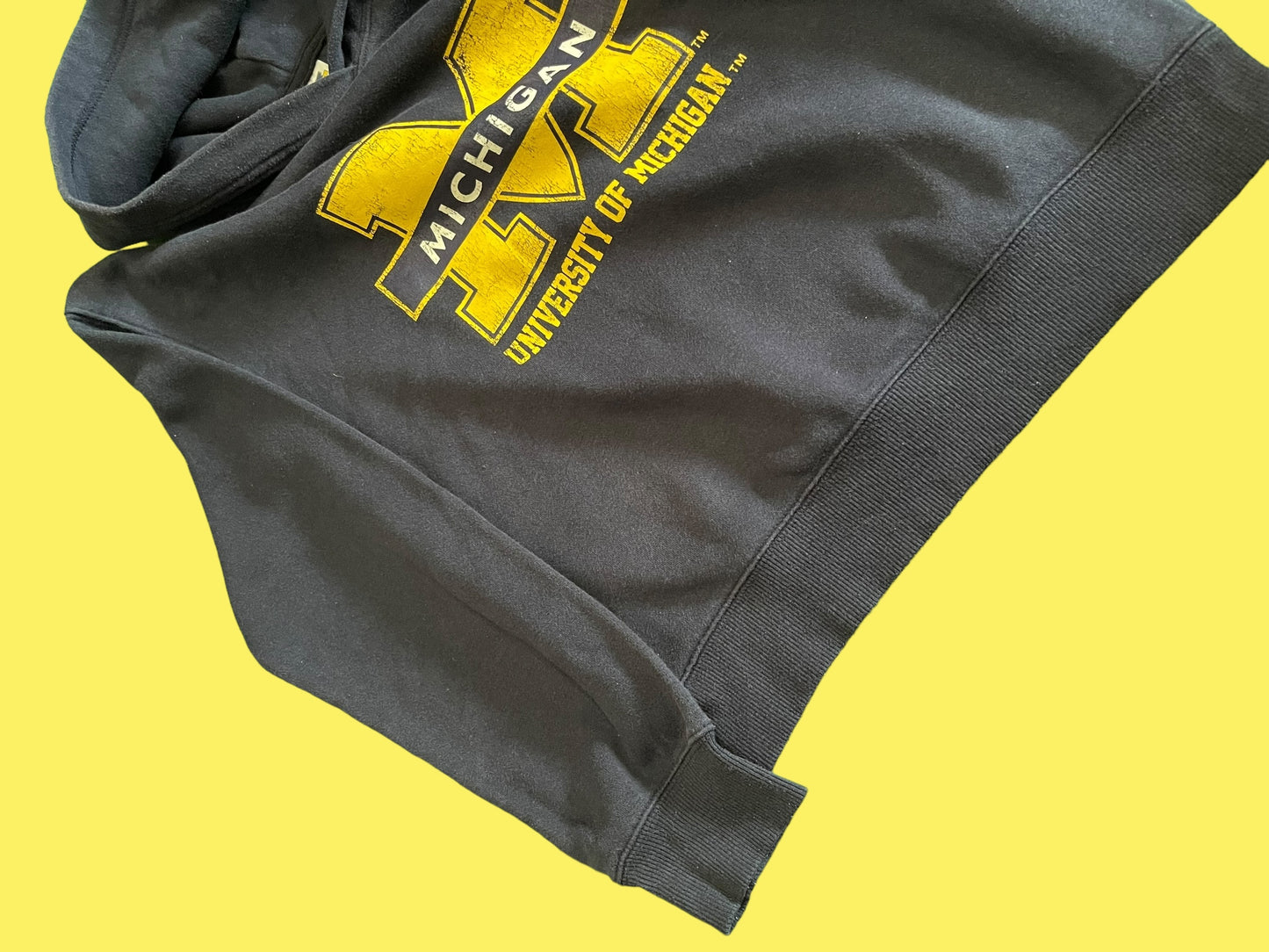 VINTAGE MICHIGAN HOODIE (S)