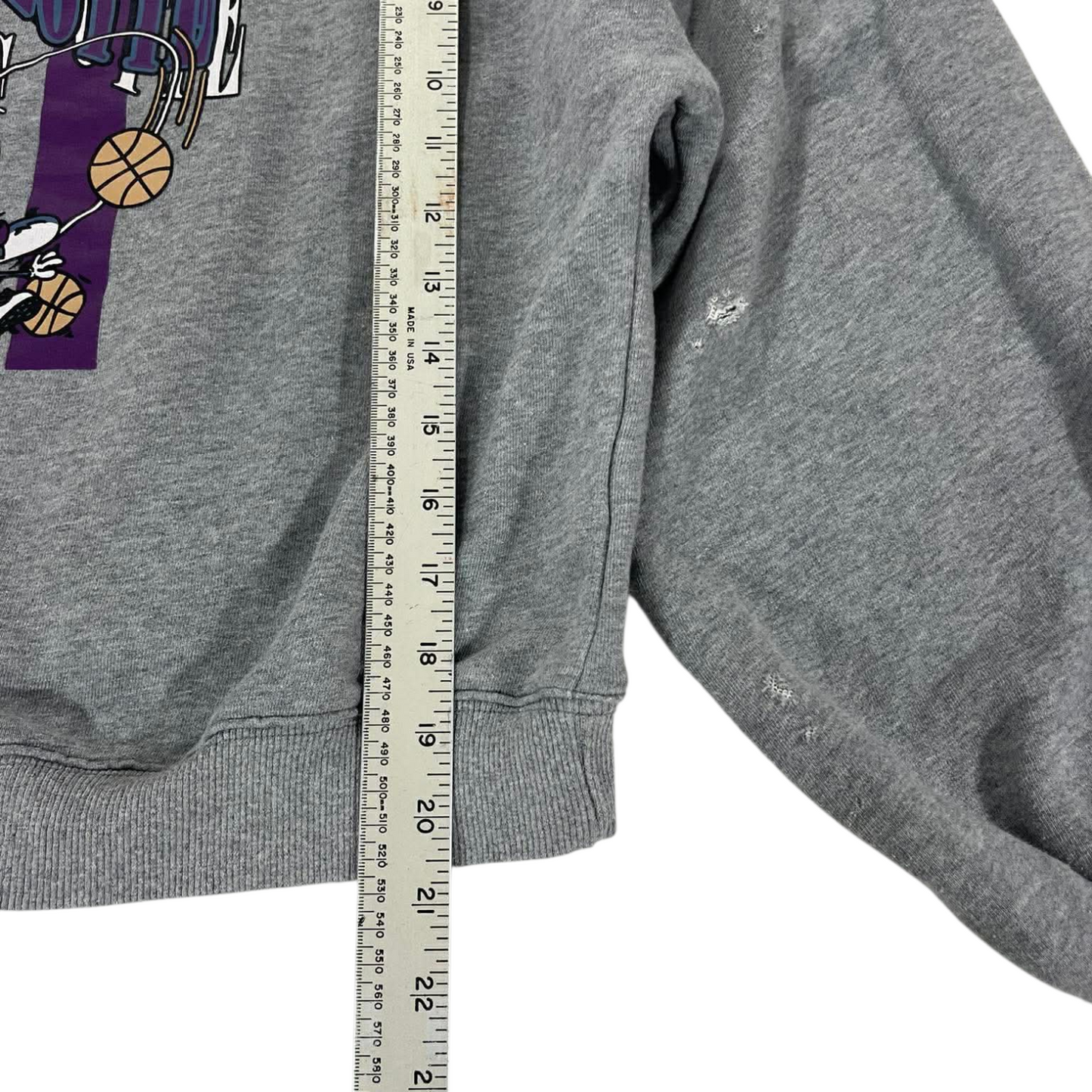 CROPPED STYLE CHARLOTTE HORNETS NBA GREY CREWNECKS SWEATSHIRT (S-M Boxy)