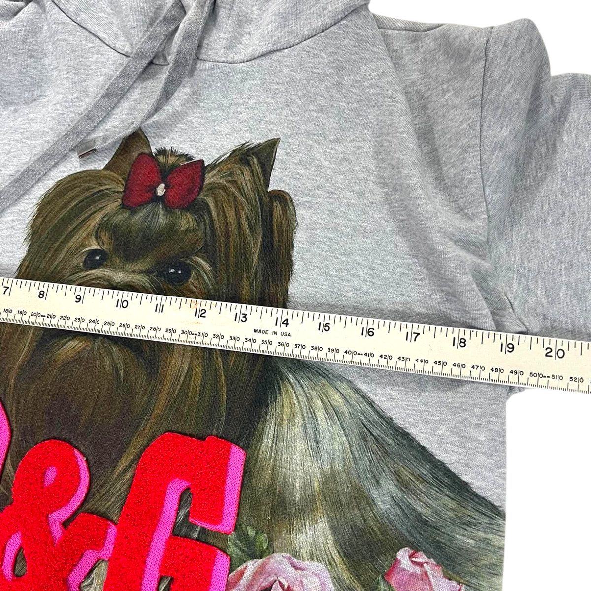 DOCLE GABBANA DOG GRAY HOODIE (M (40))