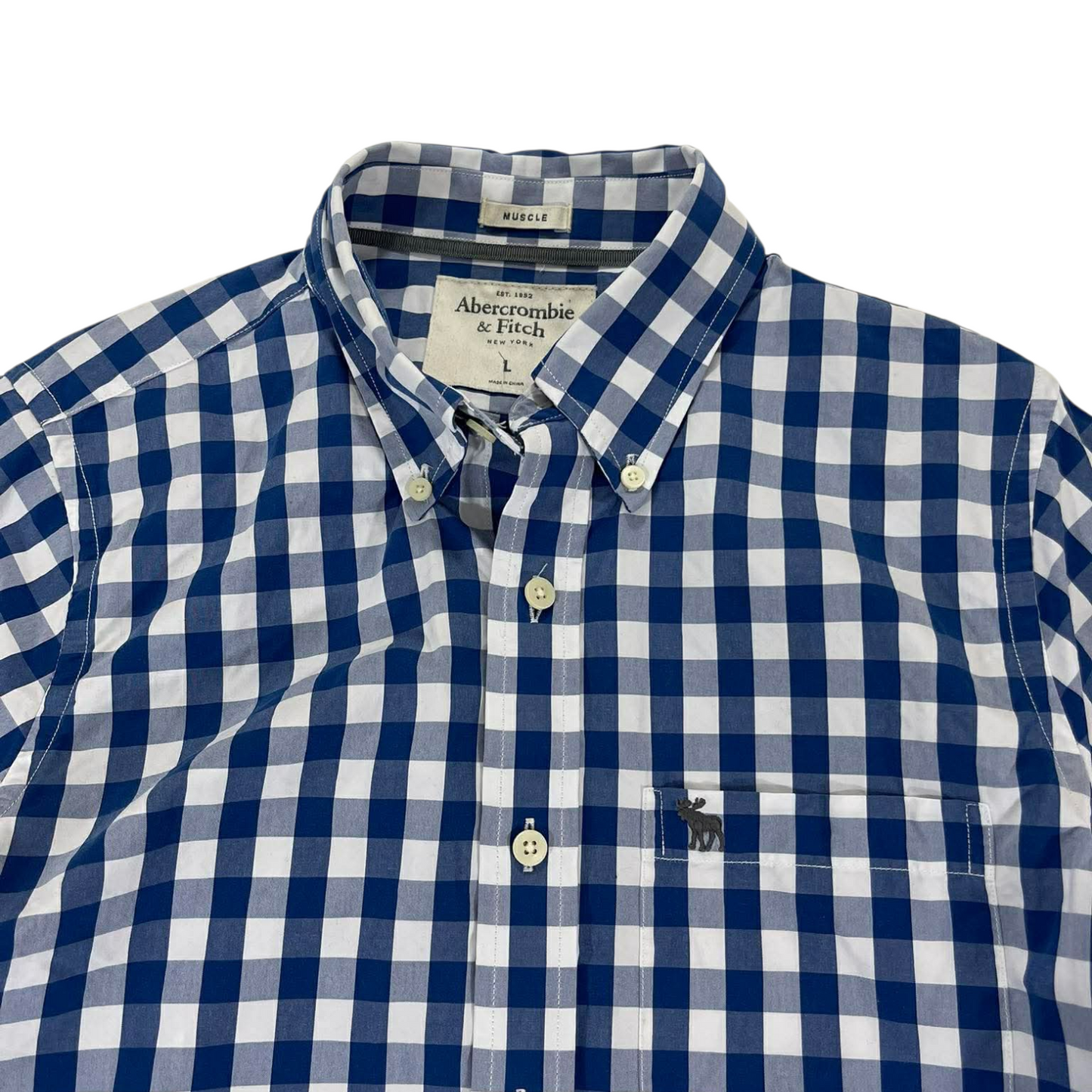 VINTAGE ABERCROMBIE & FITCH BLUE CHECKERED BUTTON UP SHIRT (L)