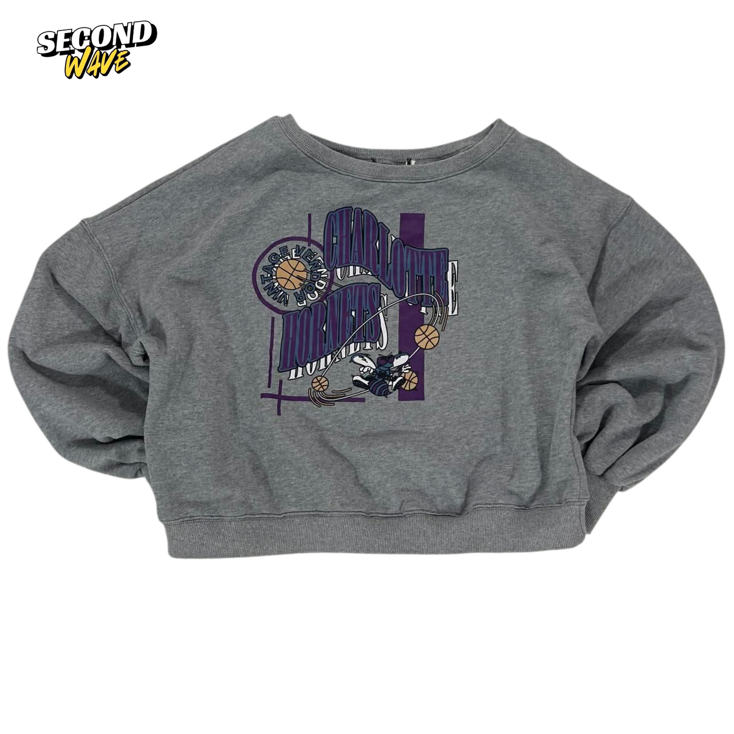 CROPPED STYLE CHARLOTTE HORNETS NBA GREY CREWNECKS SWEATSHIRT (S-M Boxy)