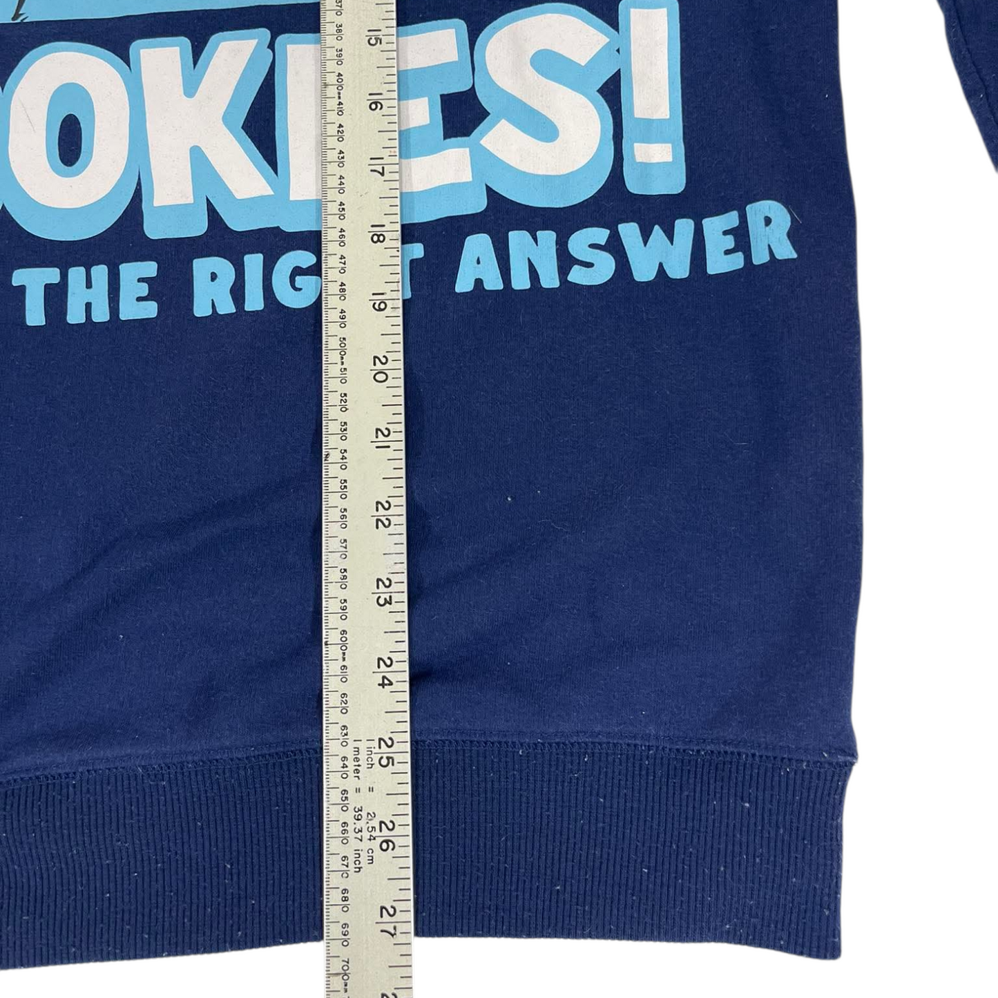 SESAME STREET COOKIE MONSTER BLUE CREWNECK SWEATSHIRT (M)
