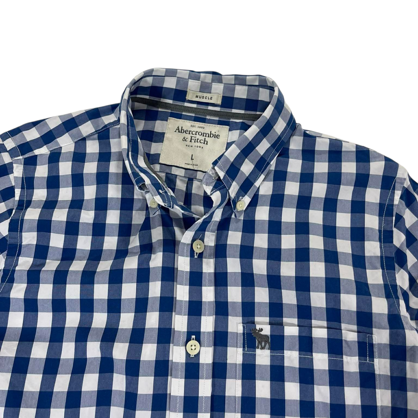 VINTAGE ABERCROMBIE & FITCH BLUE CHECKERED BUTTON UP SHIRT (L)