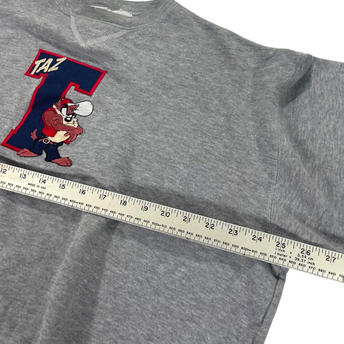 VINTAGE LOONEY TUNES TAZ GRAY CREWNECK (M)