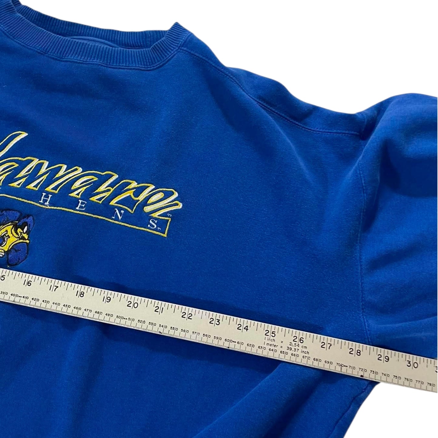 90S DELAWARE BLUE HENS BLUE CREWNECK (L)