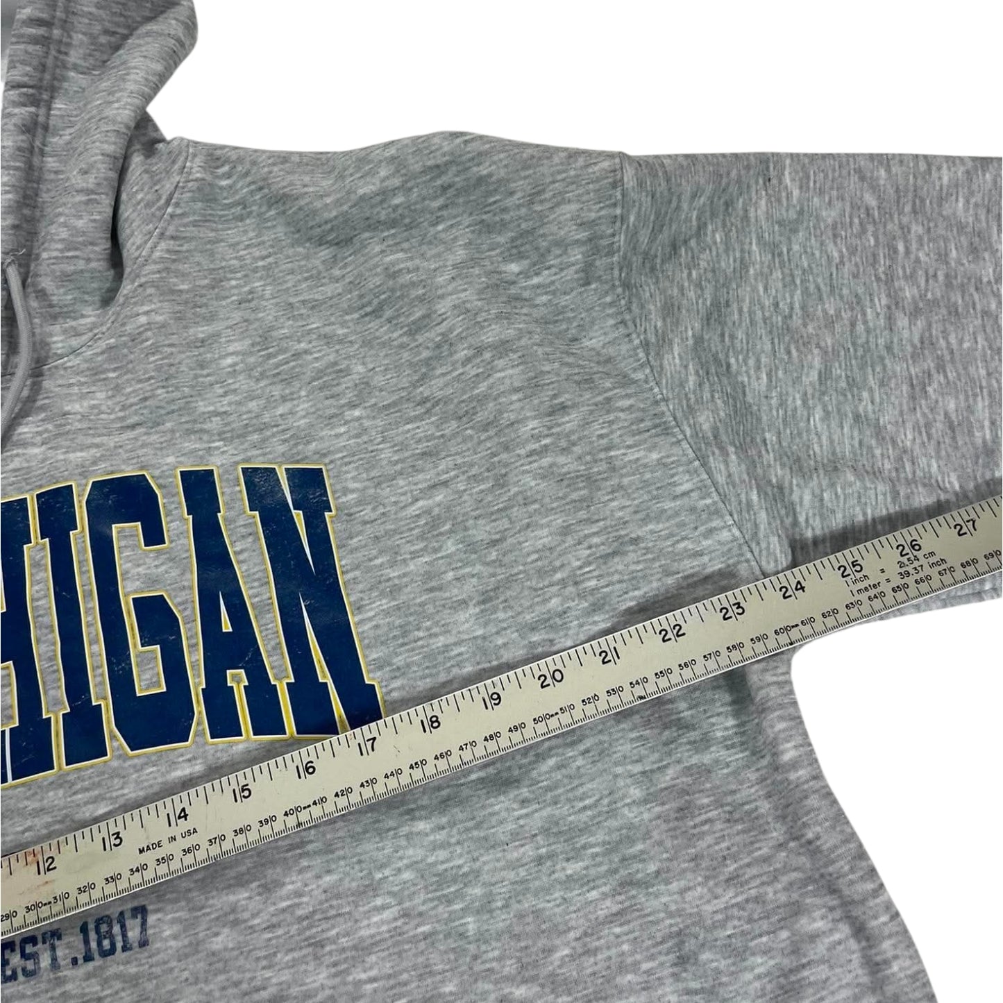 GREY UNIVERSITY OF MICHIGAN HOODIE (L-XL)