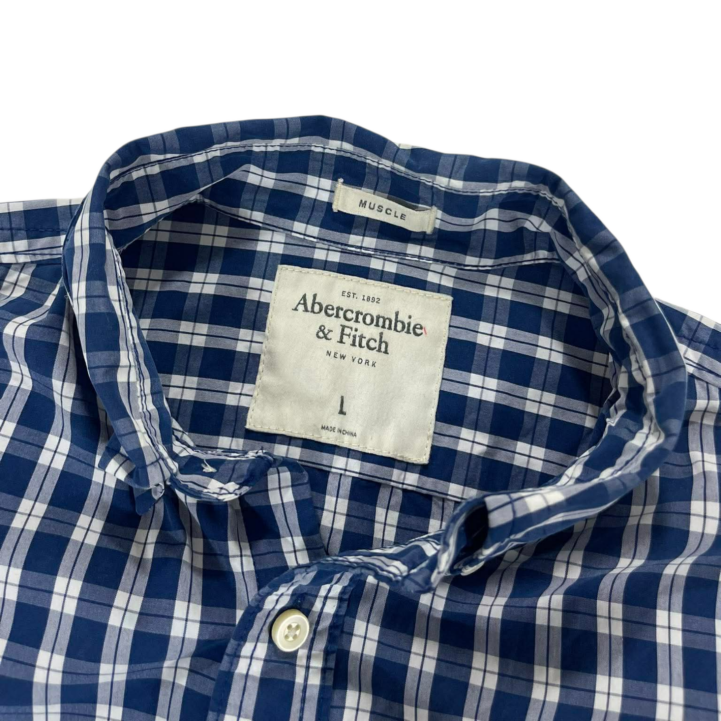 Y2K ABERCROMBIE & FITCH BLUE PLAID BUTTON UP SHIRT (M-L)