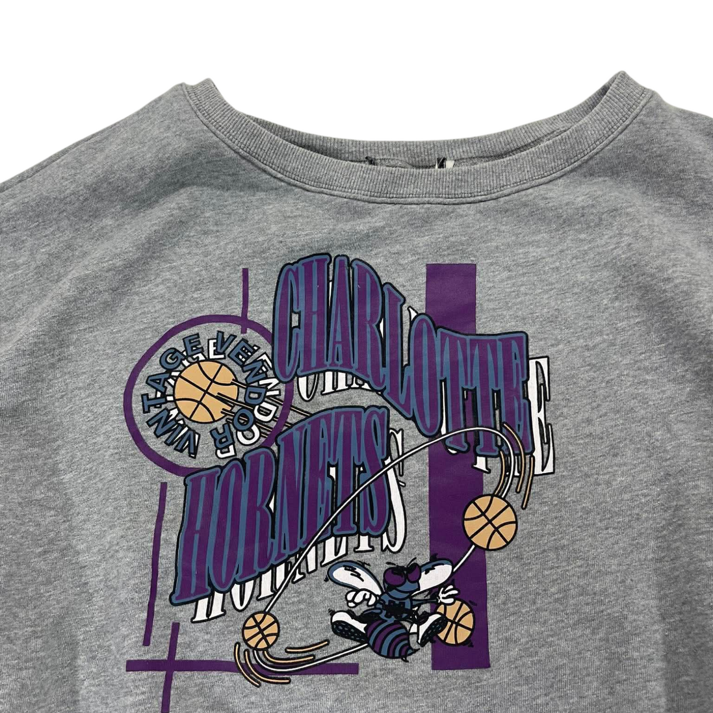 CROPPED STYLE CHARLOTTE HORNETS NBA GREY CREWNECKS SWEATSHIRT (S-M Boxy)