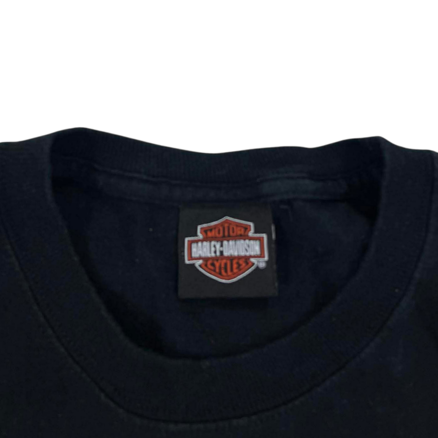 HARLEY DAVIDSON BLACK GRAPHIC TEE WITH BLUE ACCENTS (S-M)