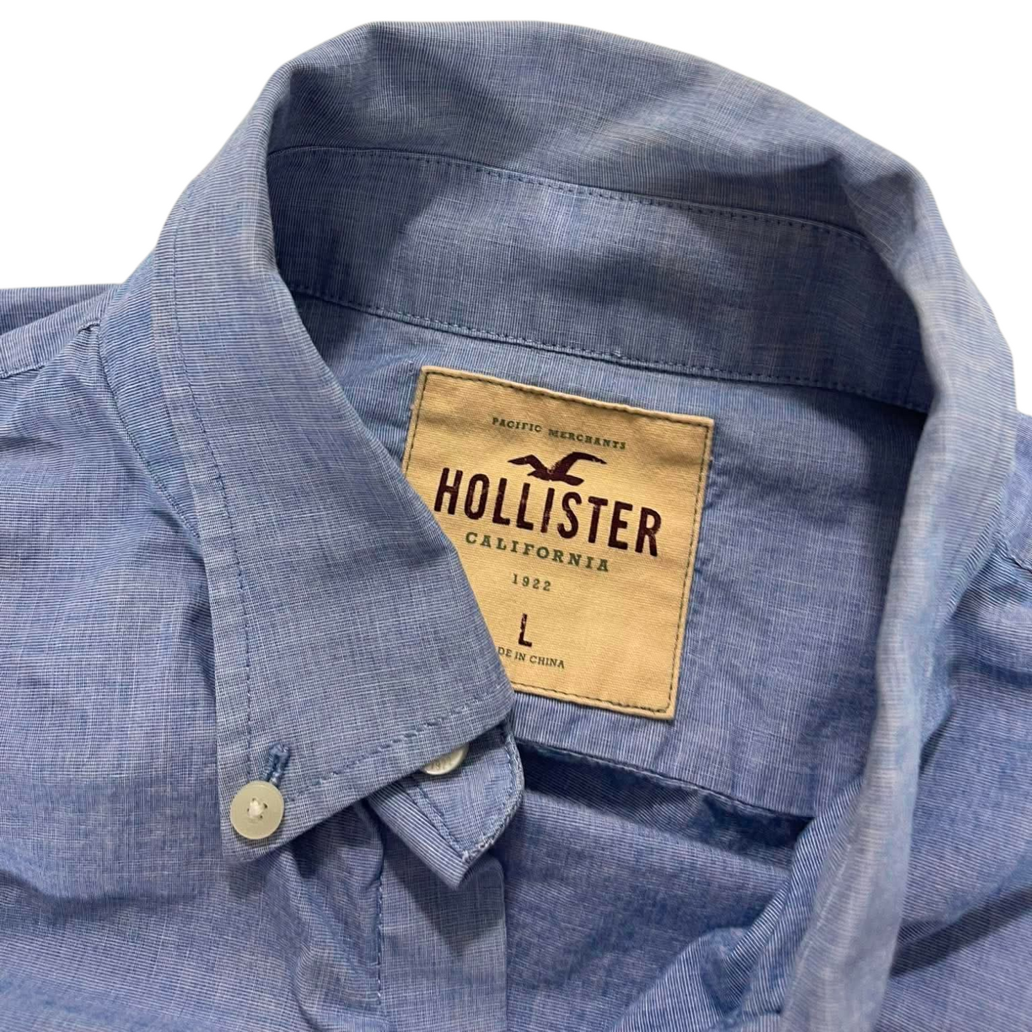Y2K HOLLISTER CO. BLUE BUTTON UP (L)