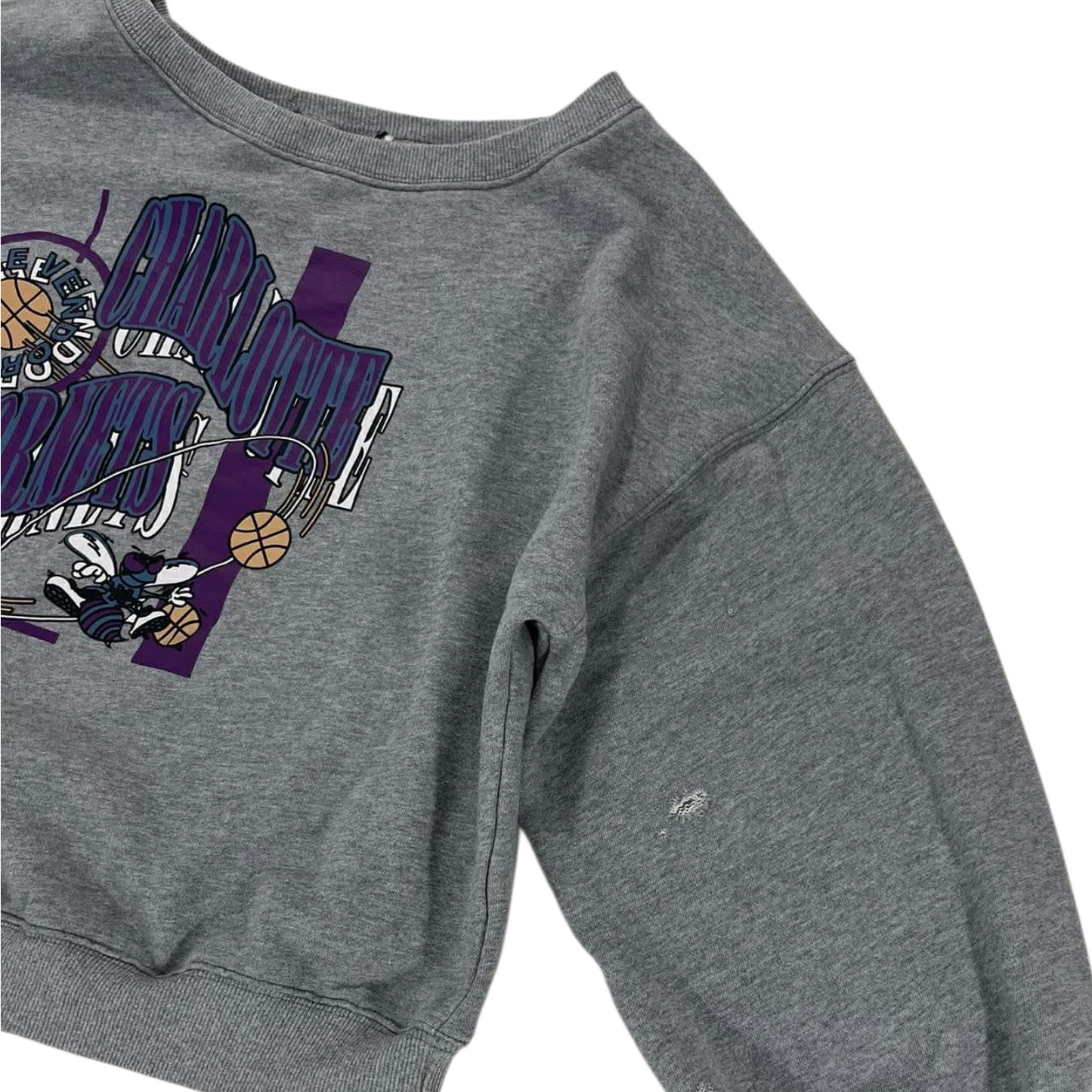 CROPPED STYLE CHARLOTTE HORNETS NBA GREY CREWNECKS SWEATSHIRT (S-M Boxy)